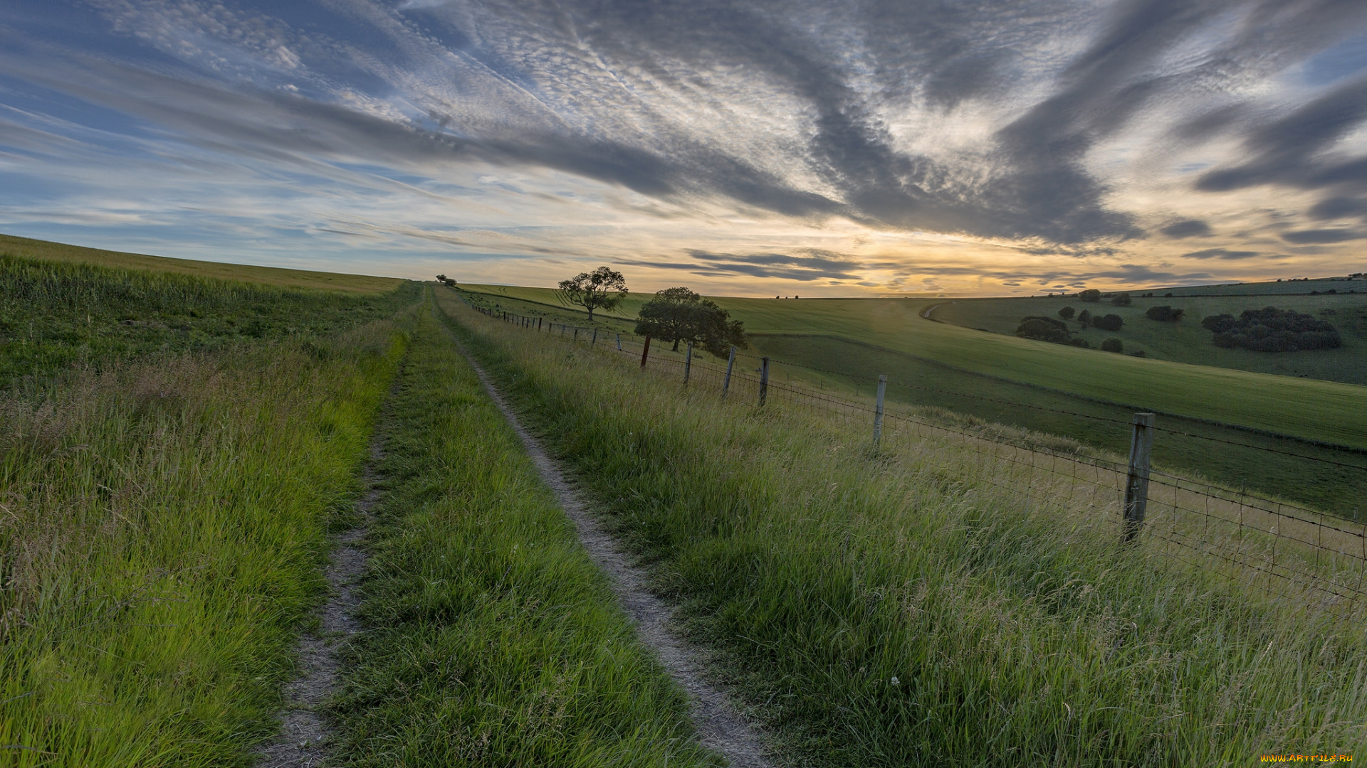 природа, дороги, простор