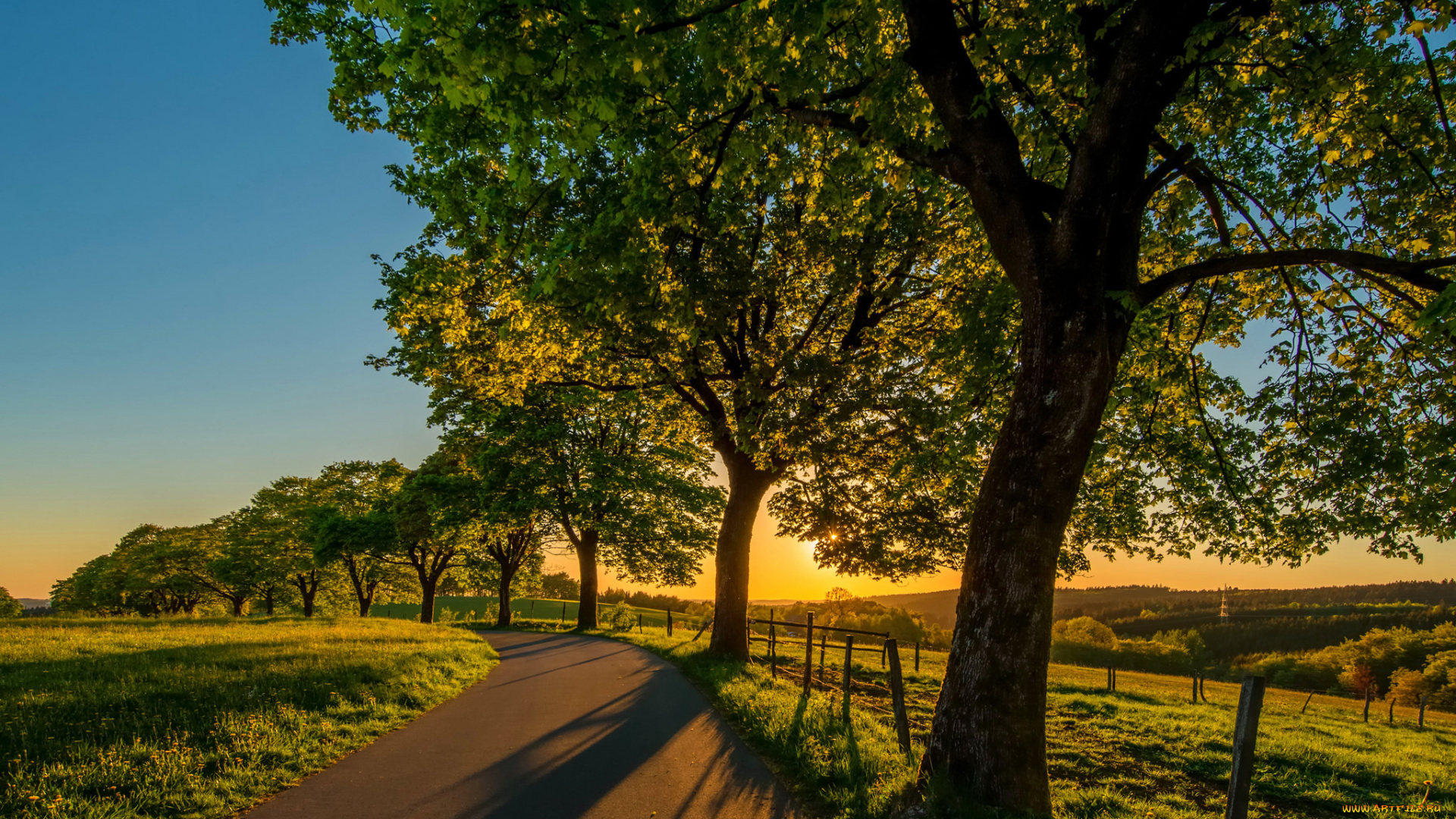 природа, дороги, простор