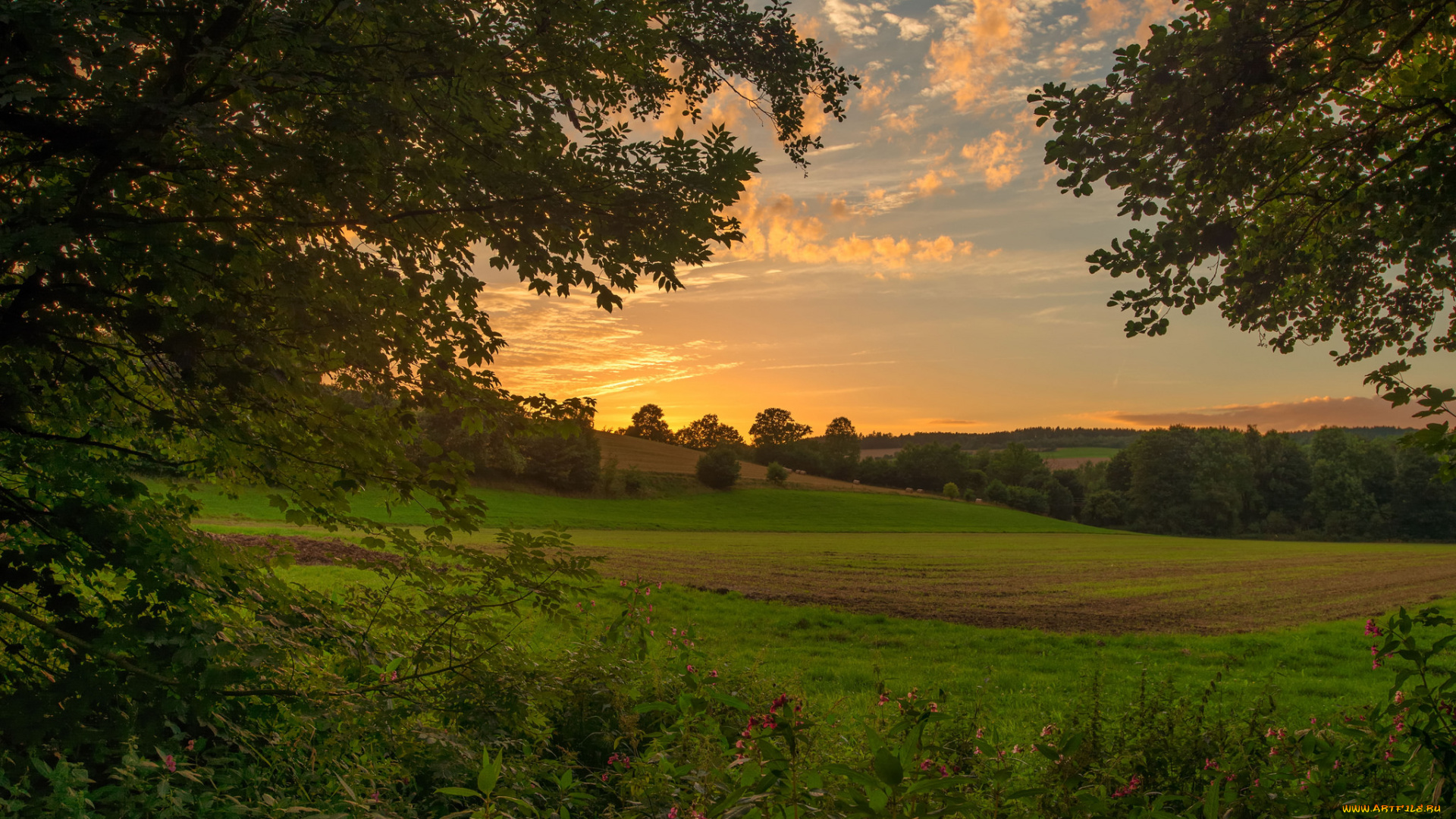 природа, пейзажи, простор