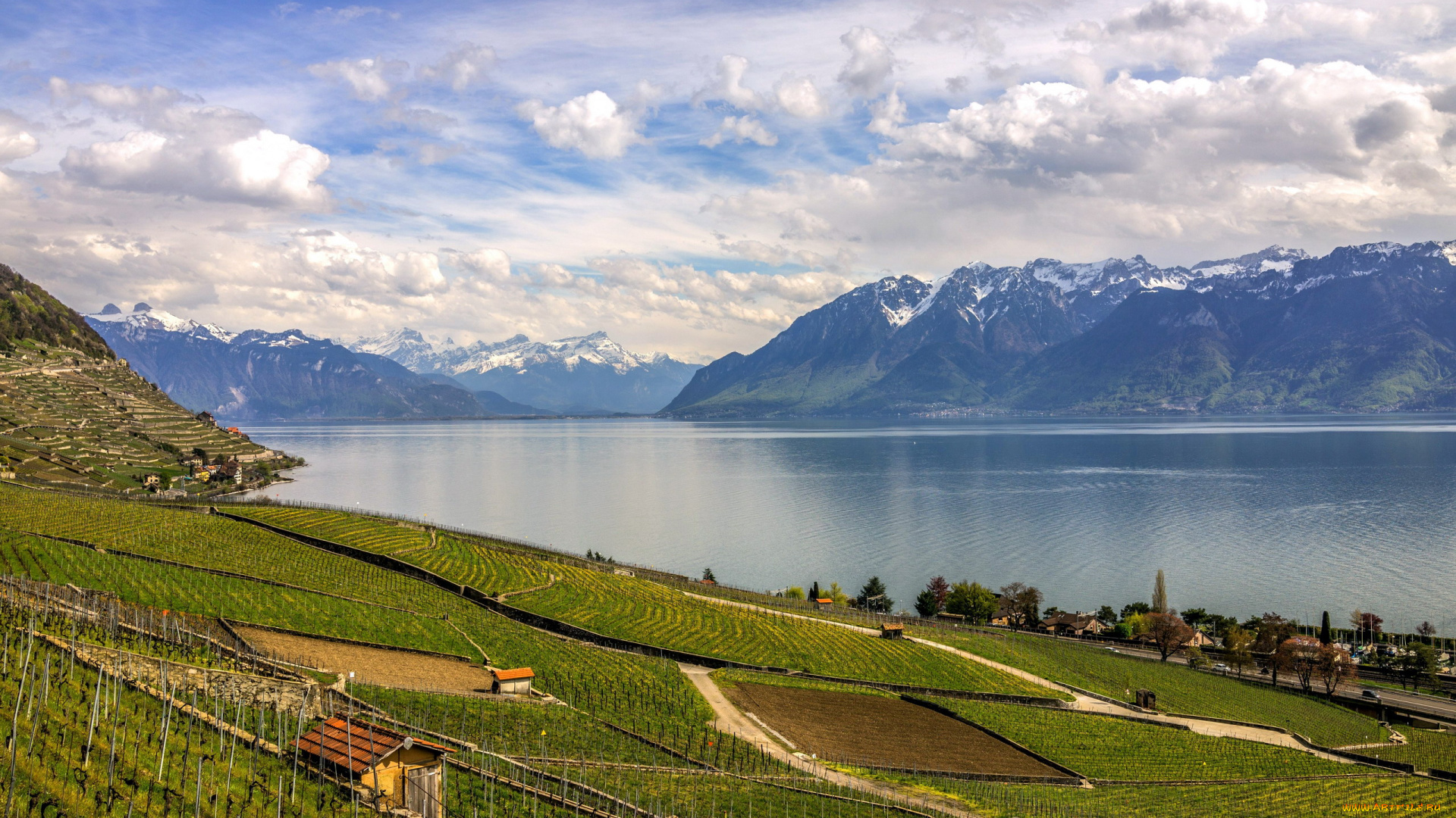 природа, пейзажи, виноградник, поля, озеро, горы