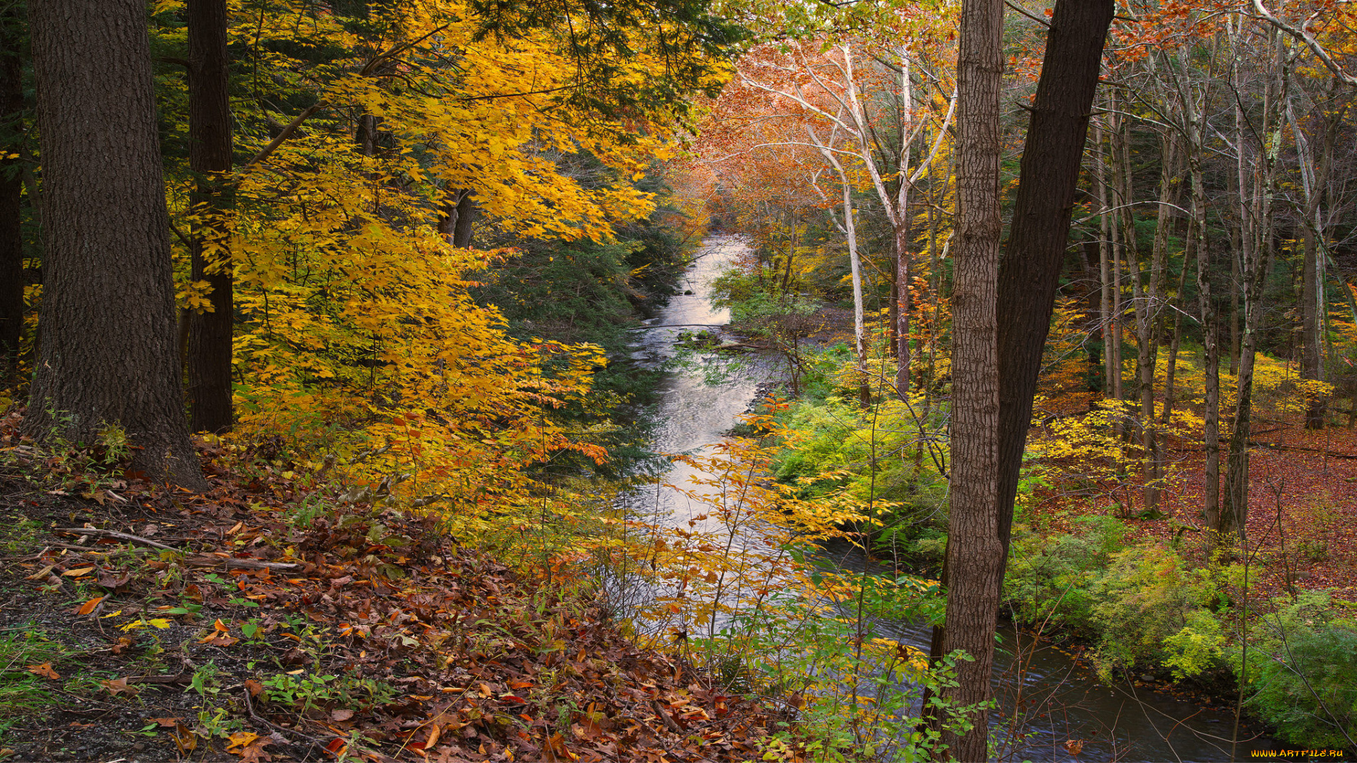 природа, реки, озера, простор