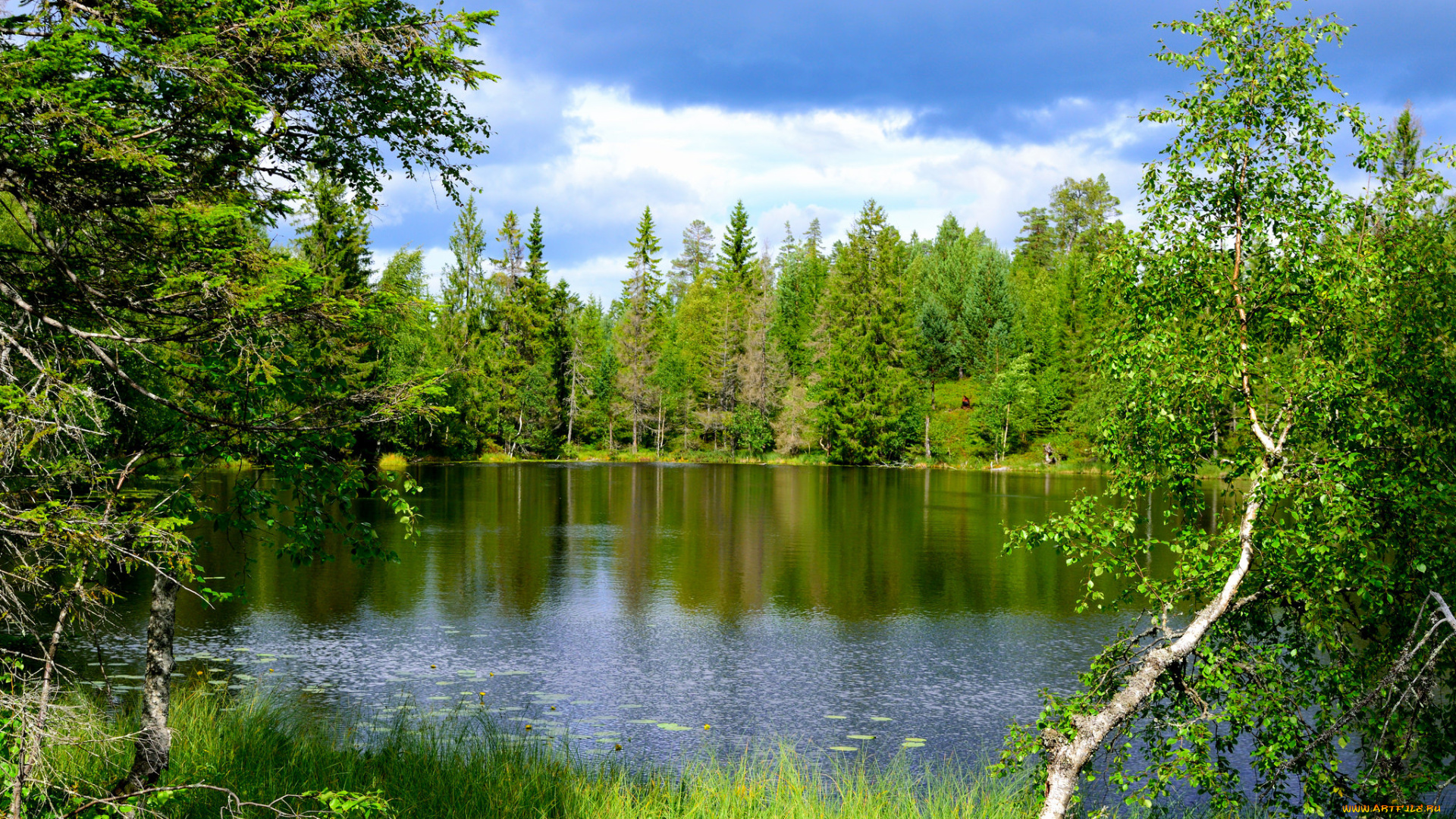 природа, реки, озера, простор