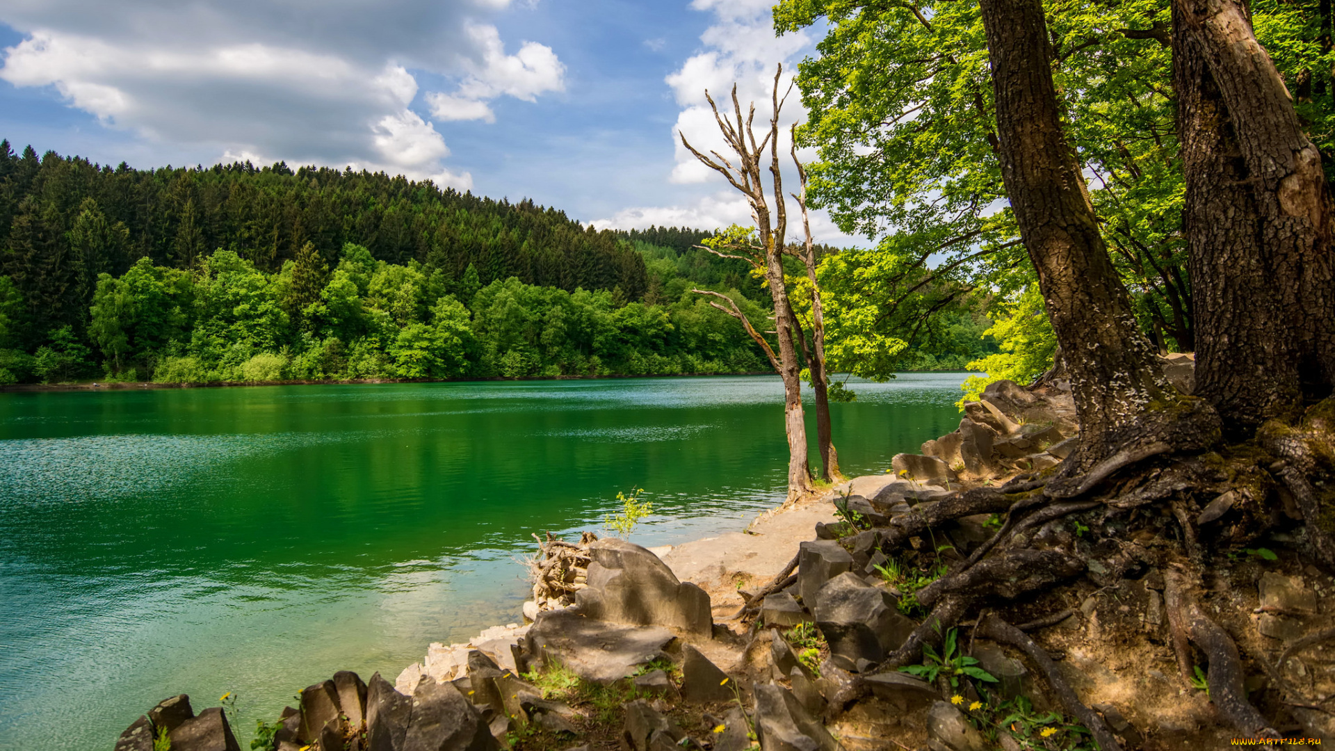 природа, реки, озера, простор