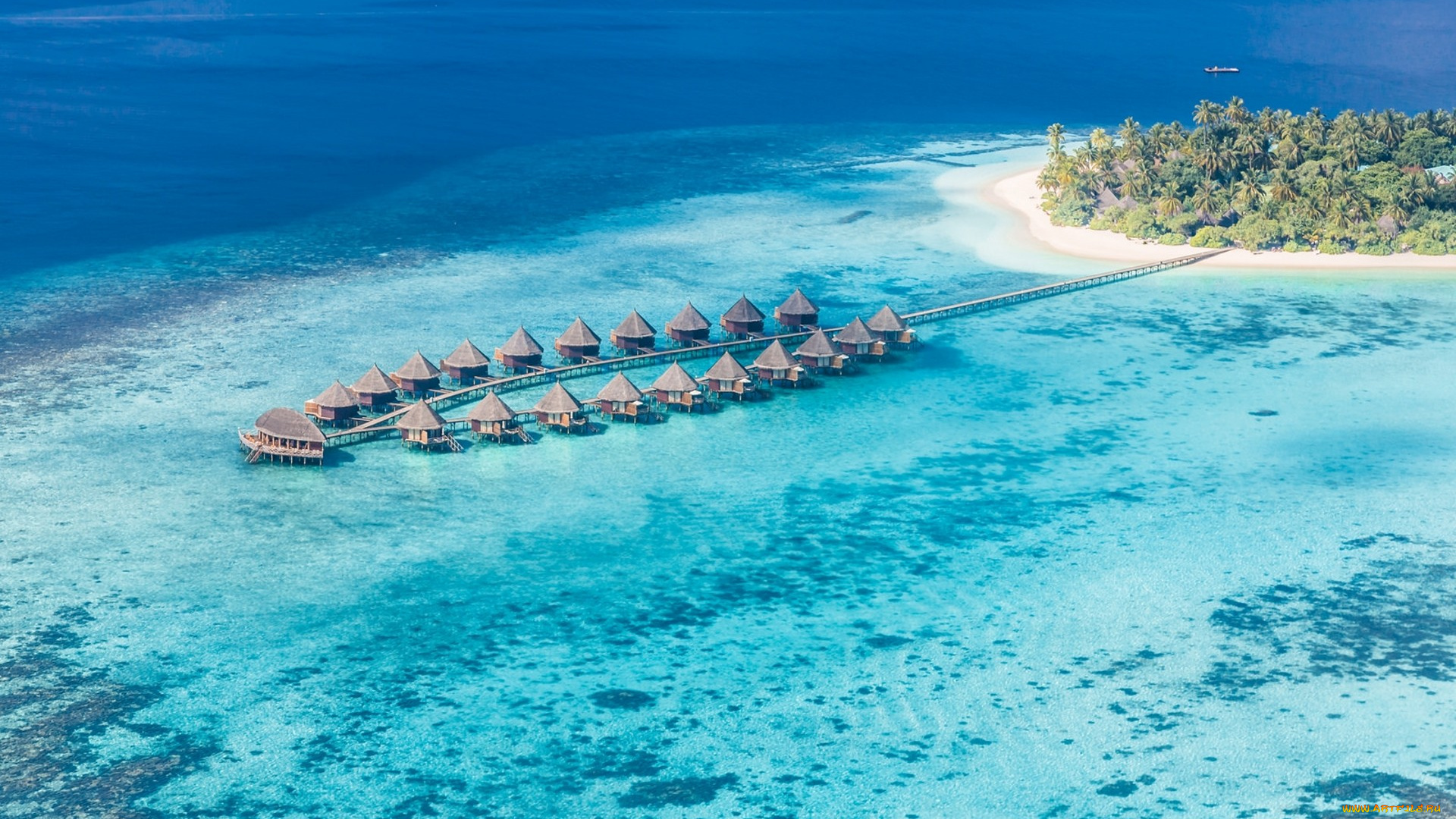 природа, тропики, простор