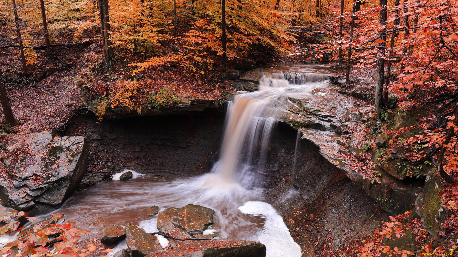 природа, водопады, водопад, осень, лес