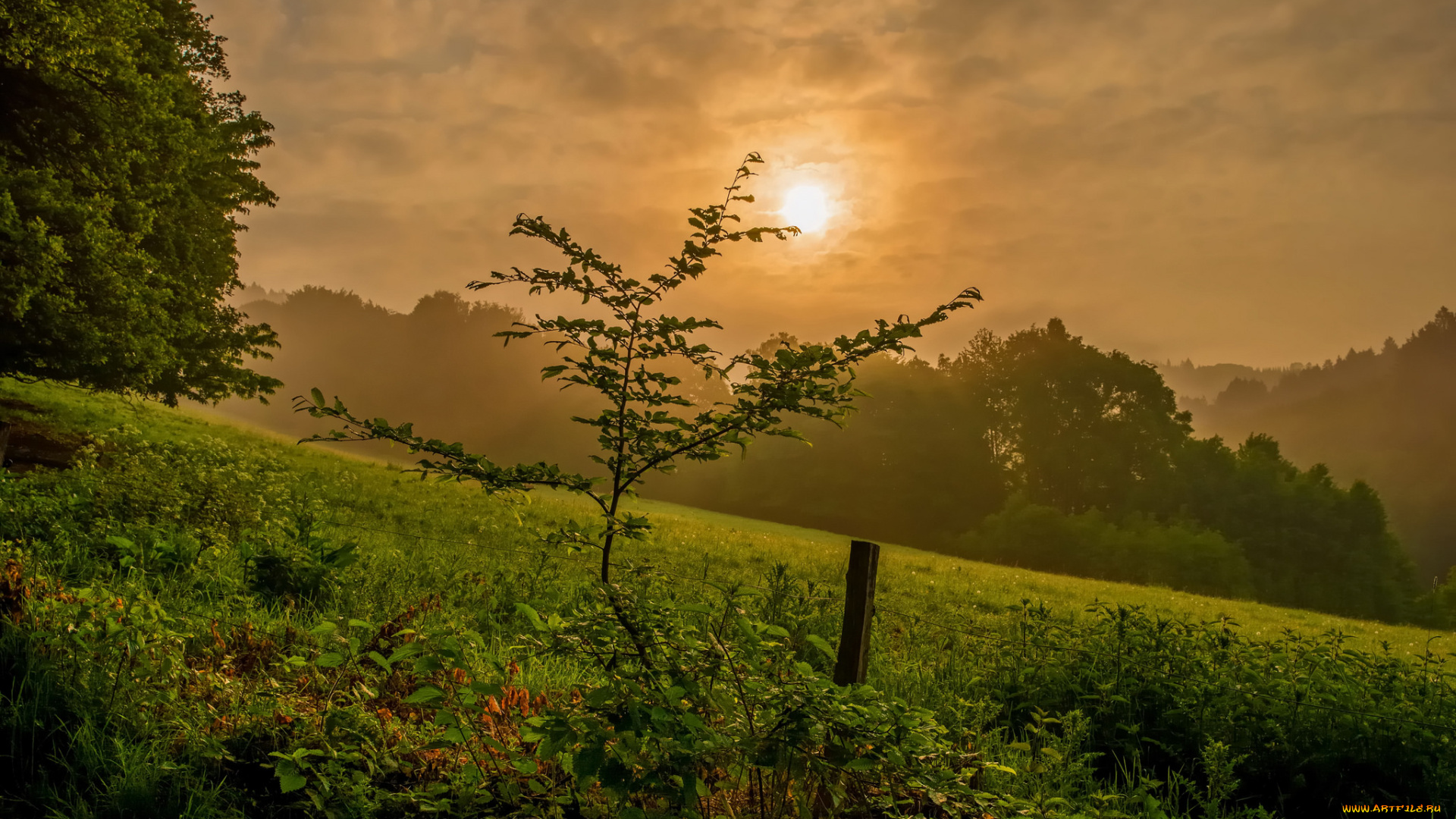 природа, восходы, закаты, простор