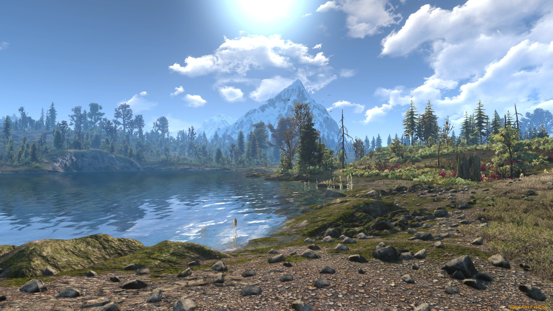 видео, игры, the, witcher, 3, , wild, hunt, the, witcher, 3, wild, hunt