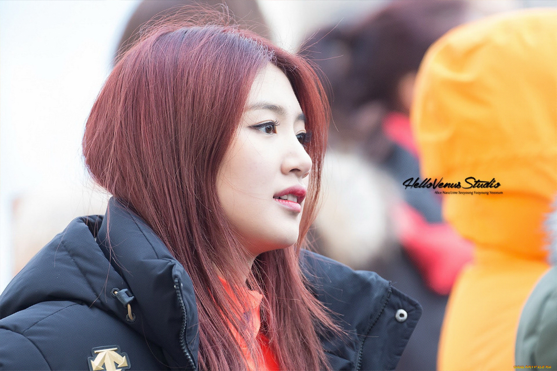 hello-venus, музыка, hello, venus, певица