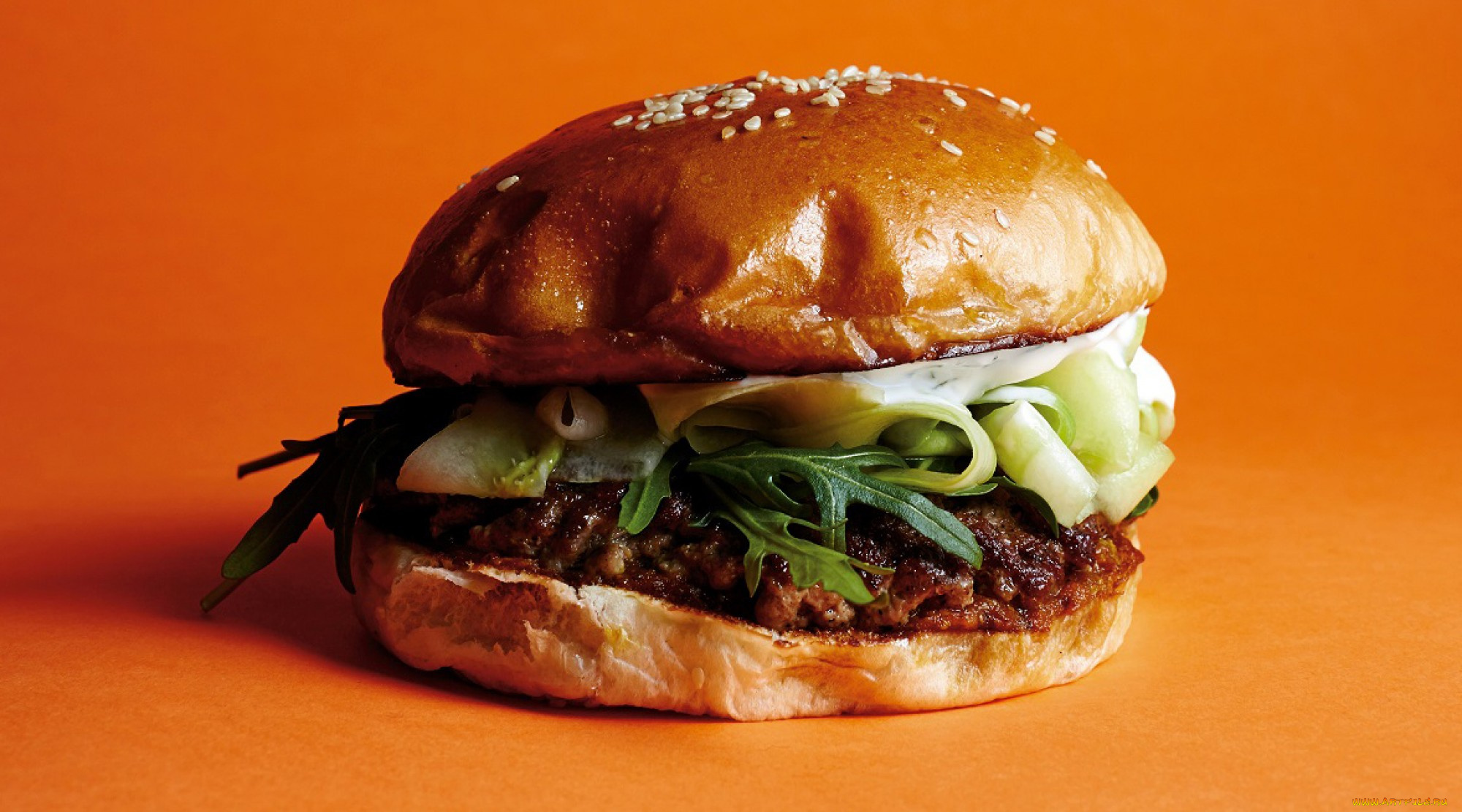 еда, бутерброды, , гамбургеры, , канапе, гамбургер