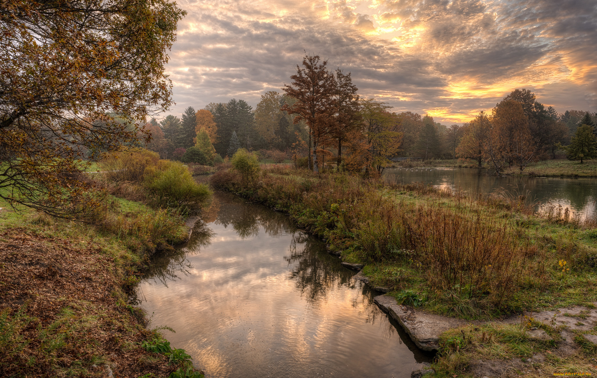 природа, реки, озера, простор