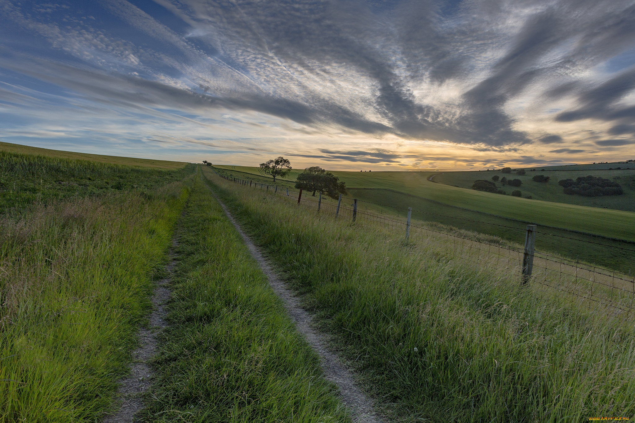 природа, дороги, простор