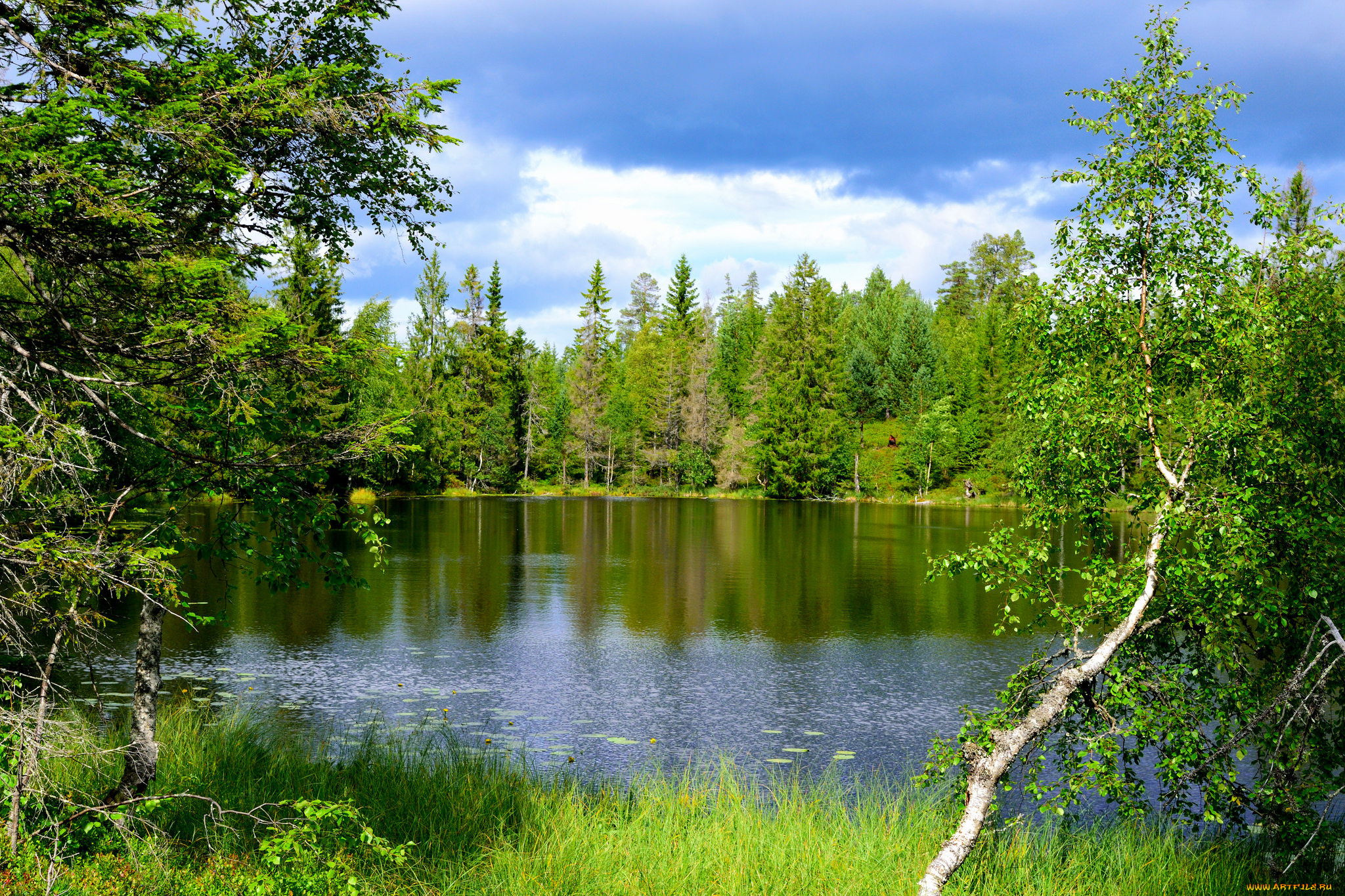 природа, реки, озера, простор