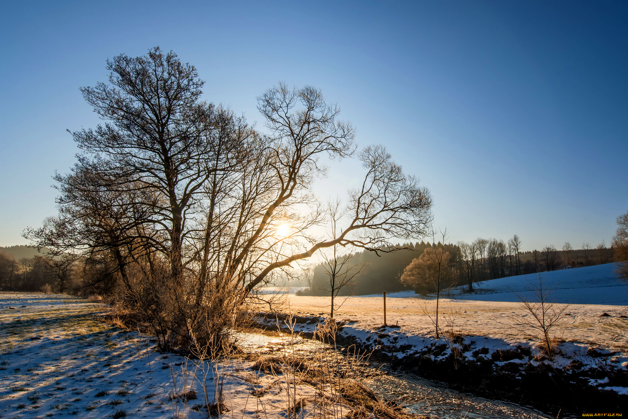 природа, дороги, простор