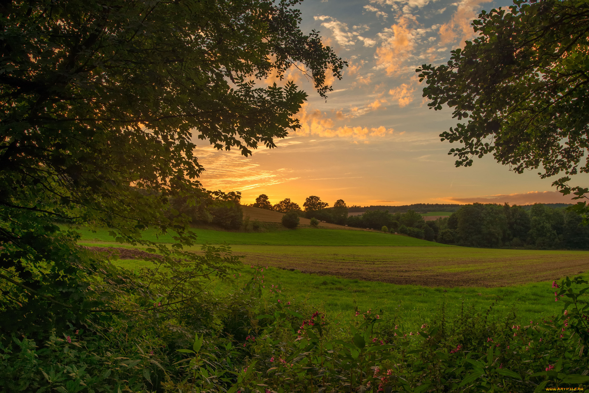 природа, пейзажи, простор
