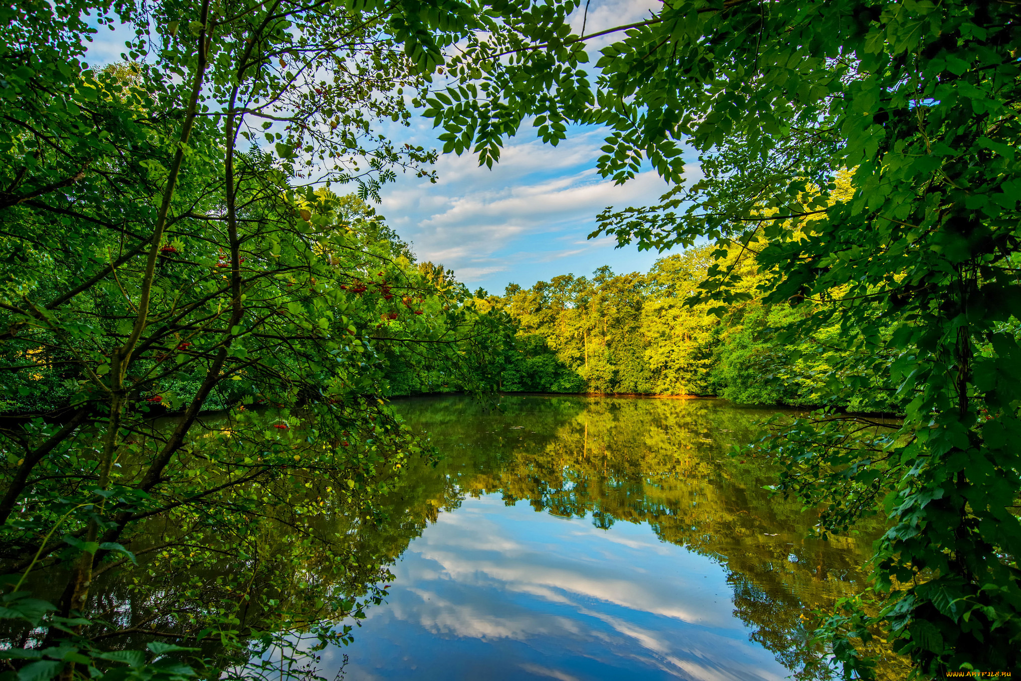 природа, реки, озера, простор