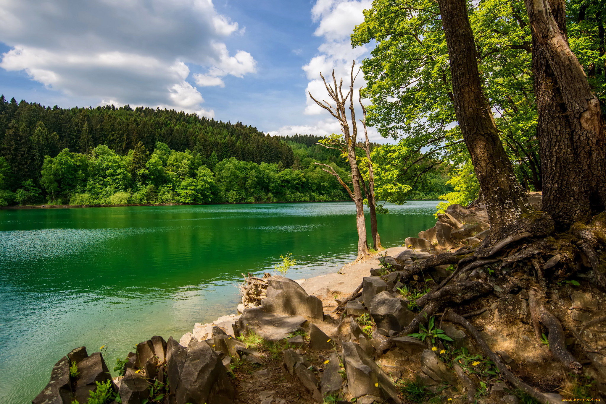 природа, реки, озера, простор