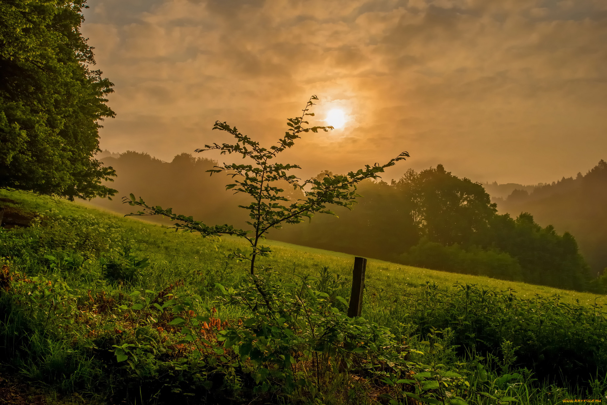 природа, восходы, закаты, простор