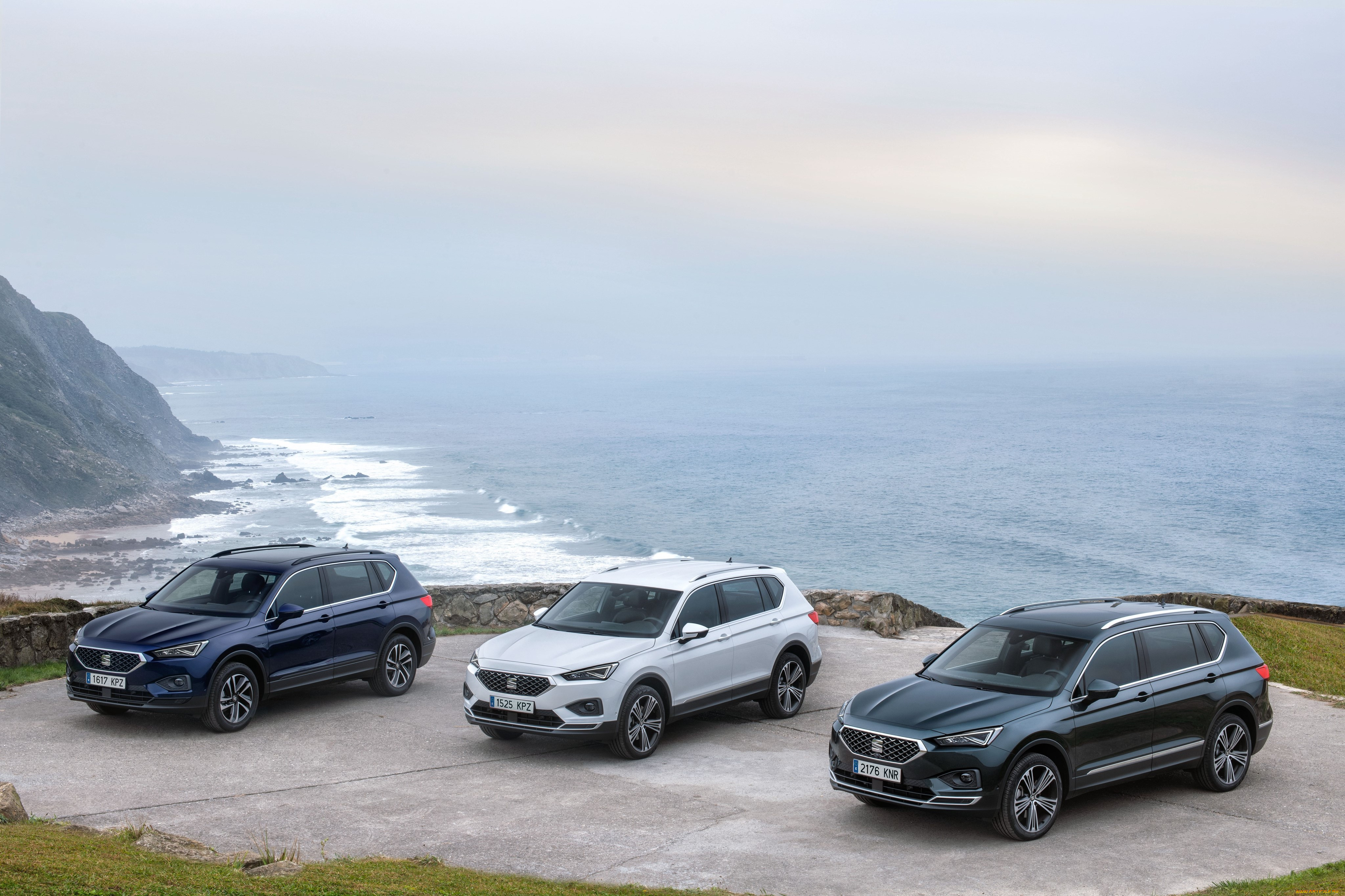 автомобили, seat