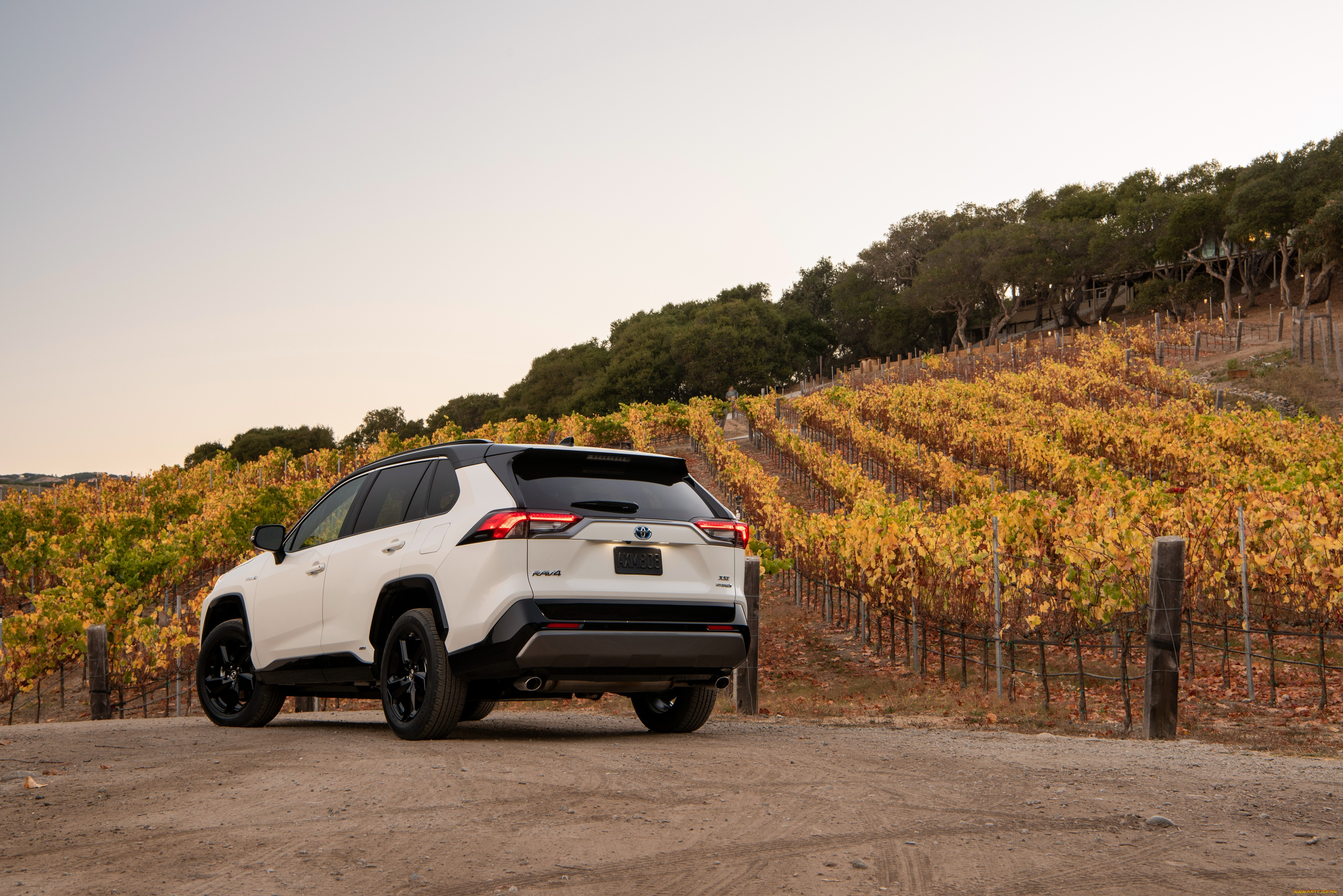 автомобили, toyota