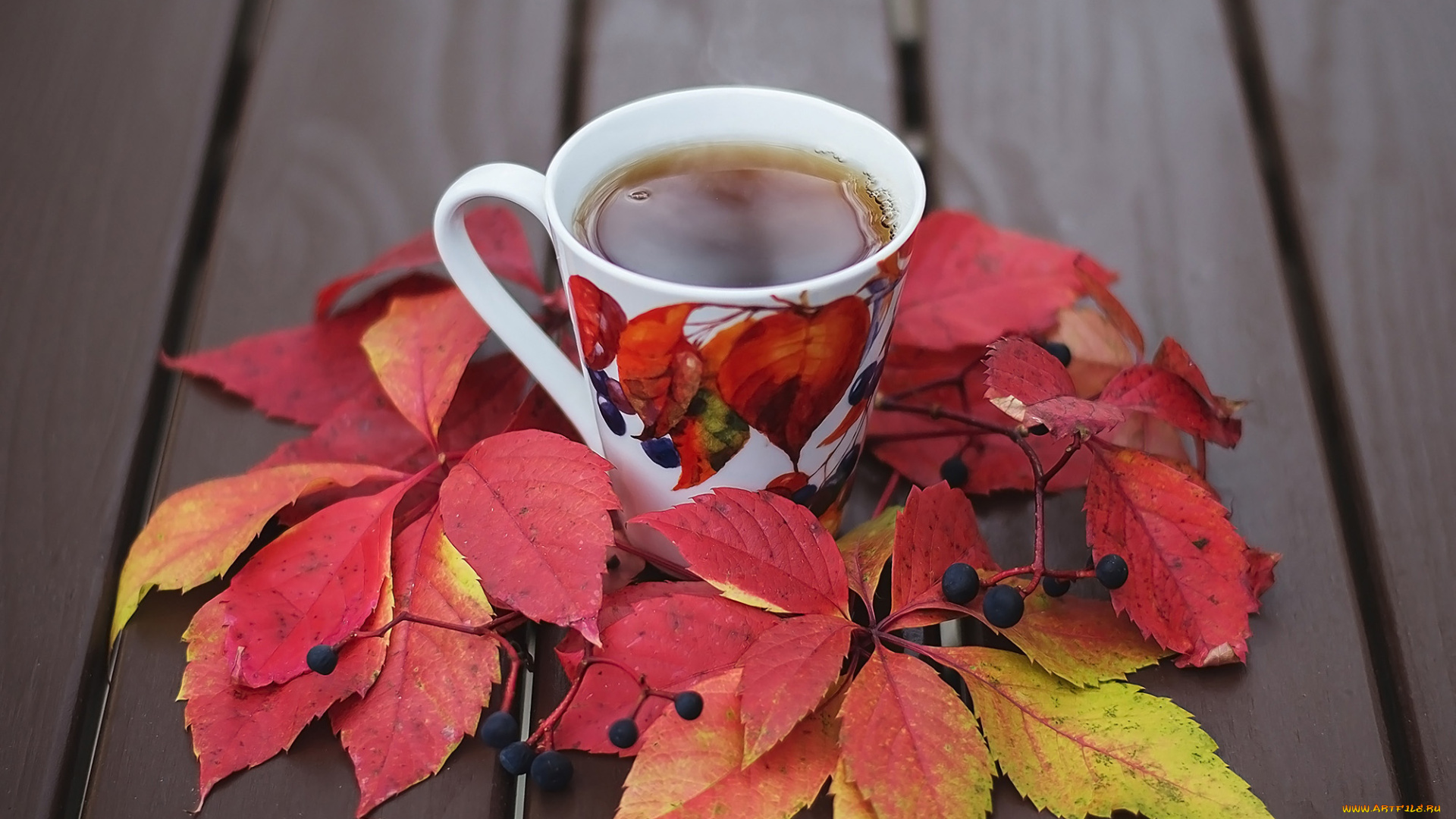 еда, напитки, , чай, листья, чашка, чай, осень