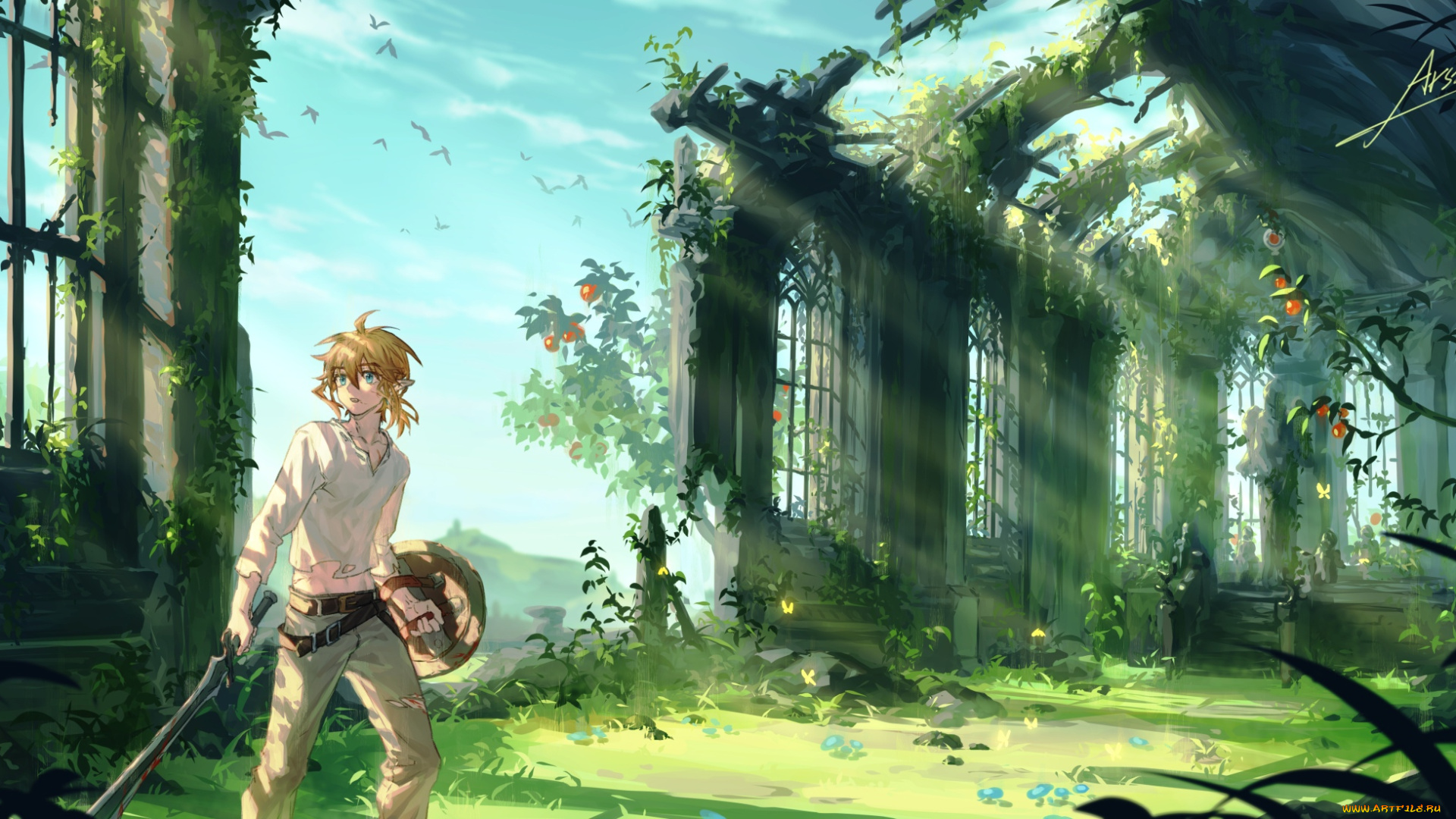 видео, игры, the, legend, of, zelda, линк, меч, щит, развалины