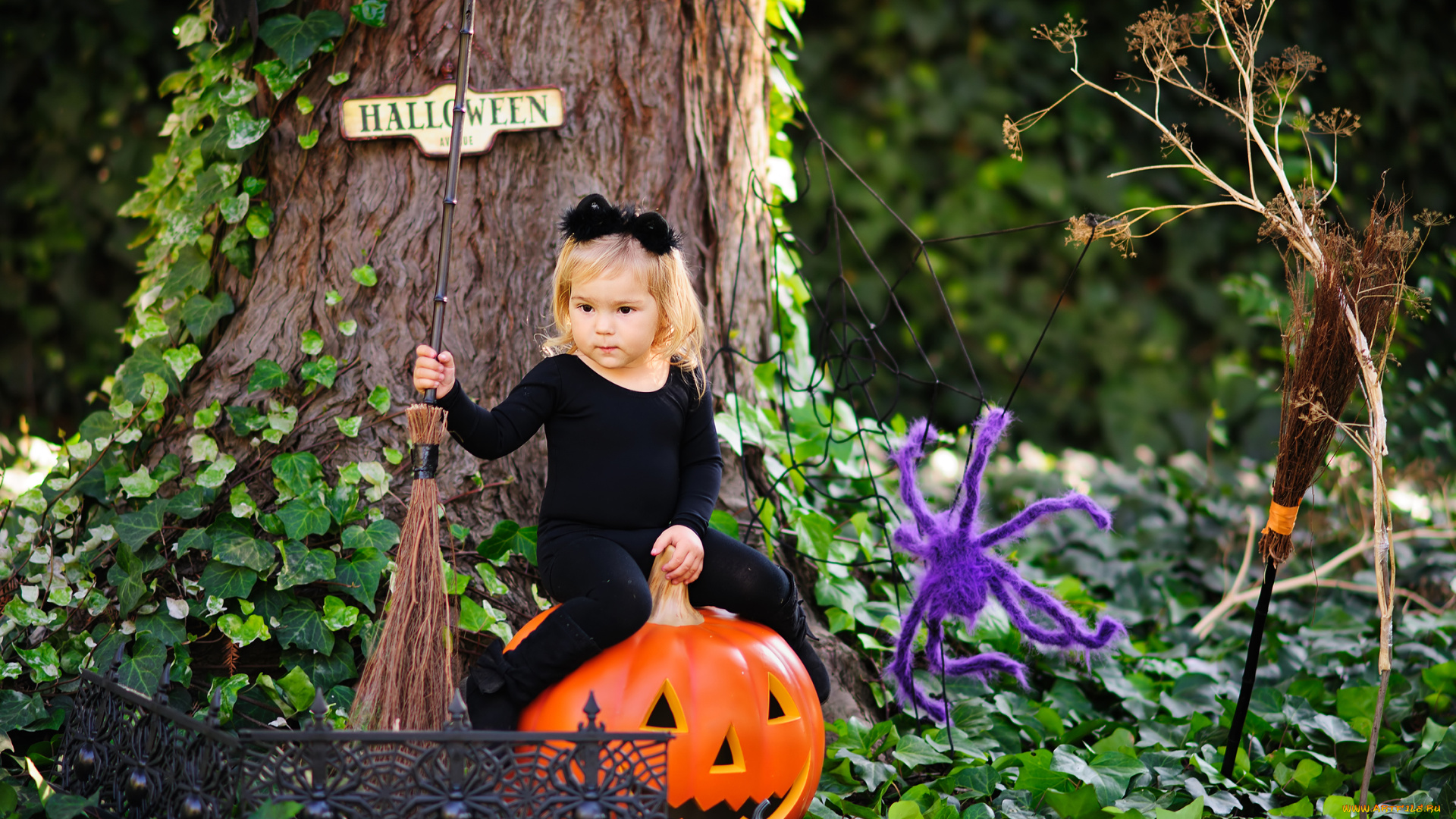 разное, дети, девочка, тыква, метла, дерево, плющ