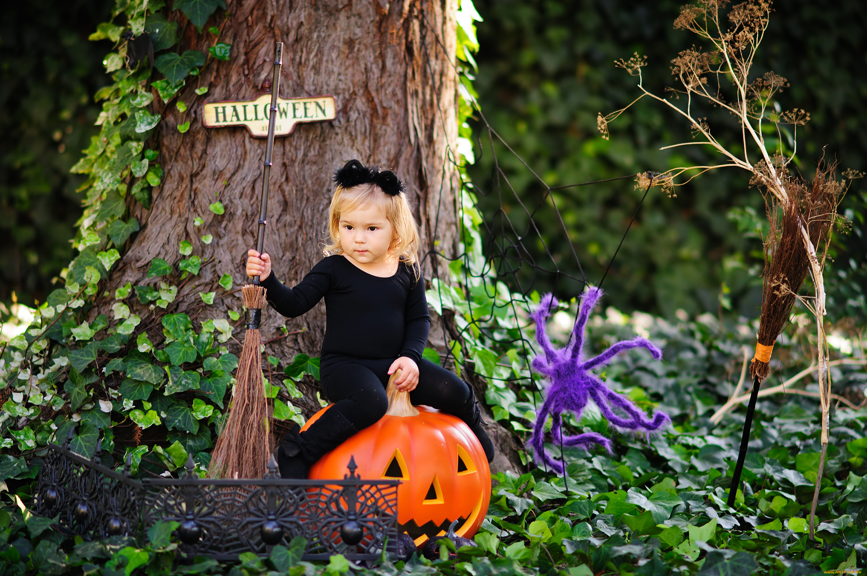 разное, дети, девочка, тыква, метла, дерево, плющ
