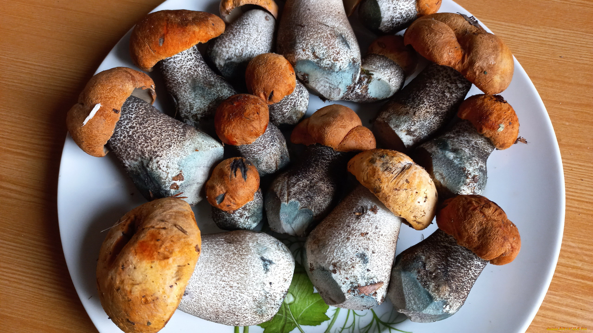 еда, грибы, , грибные, блюда, свежие, лесные, подосиновики