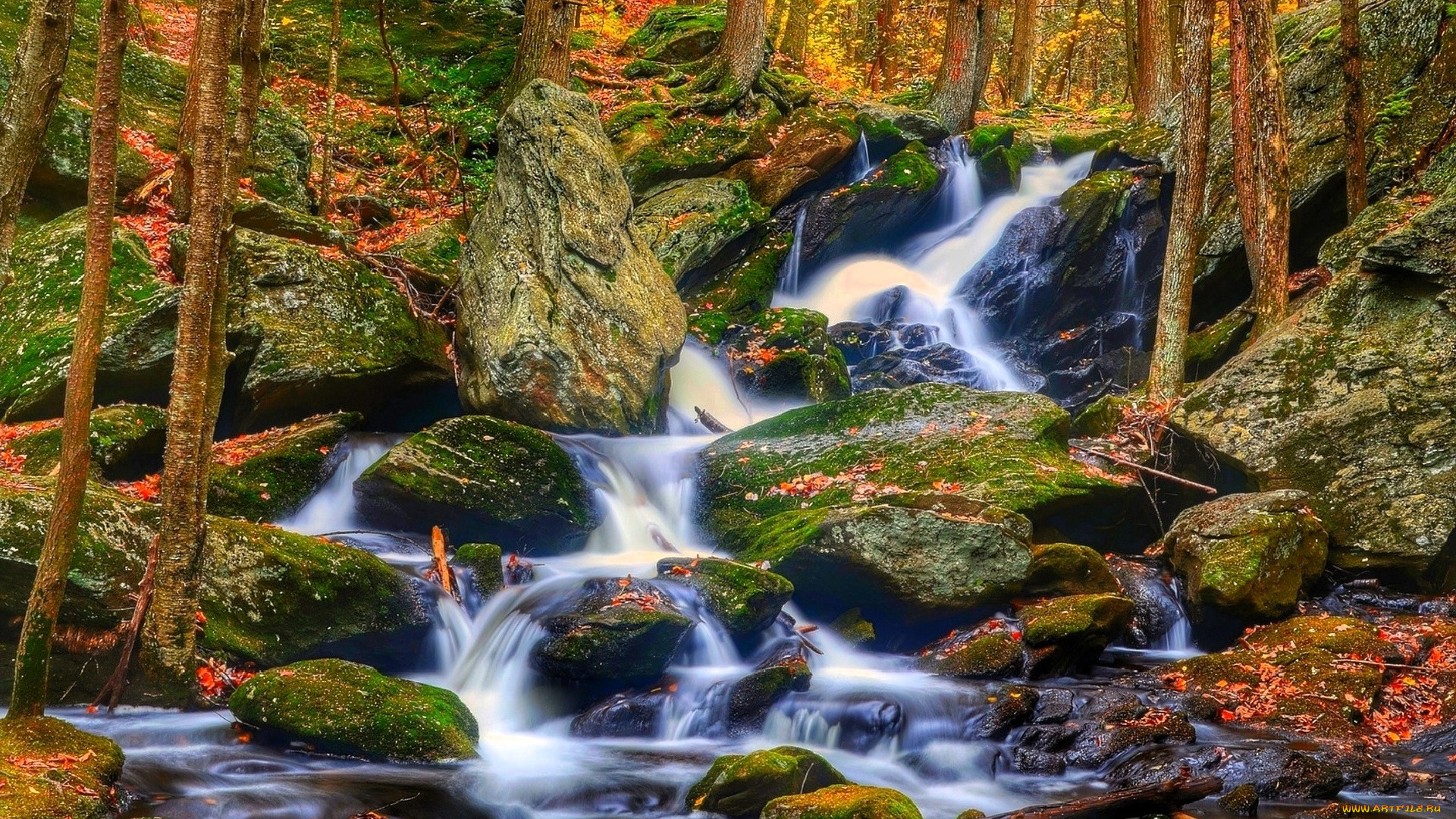 природа, водопады, лес, осень, камни, ручей