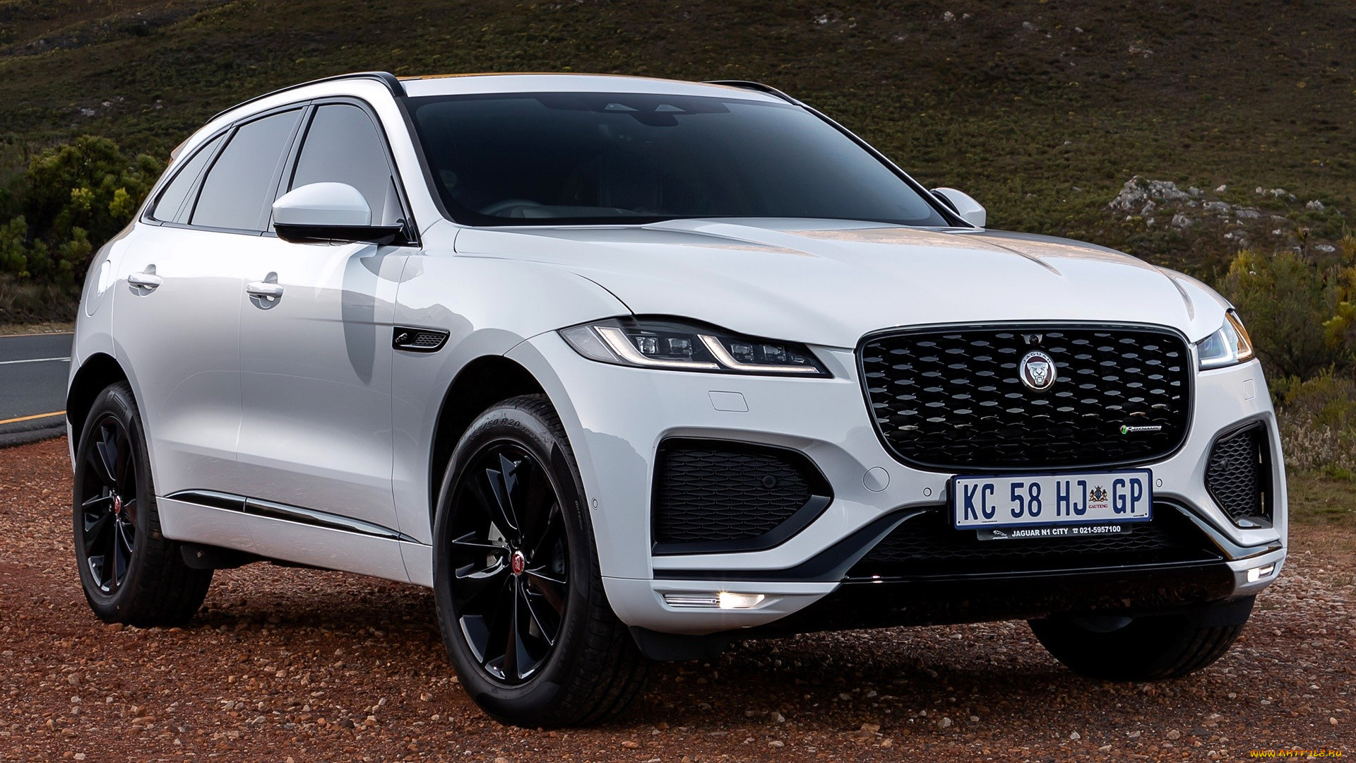 автомобили, jaguar, белый