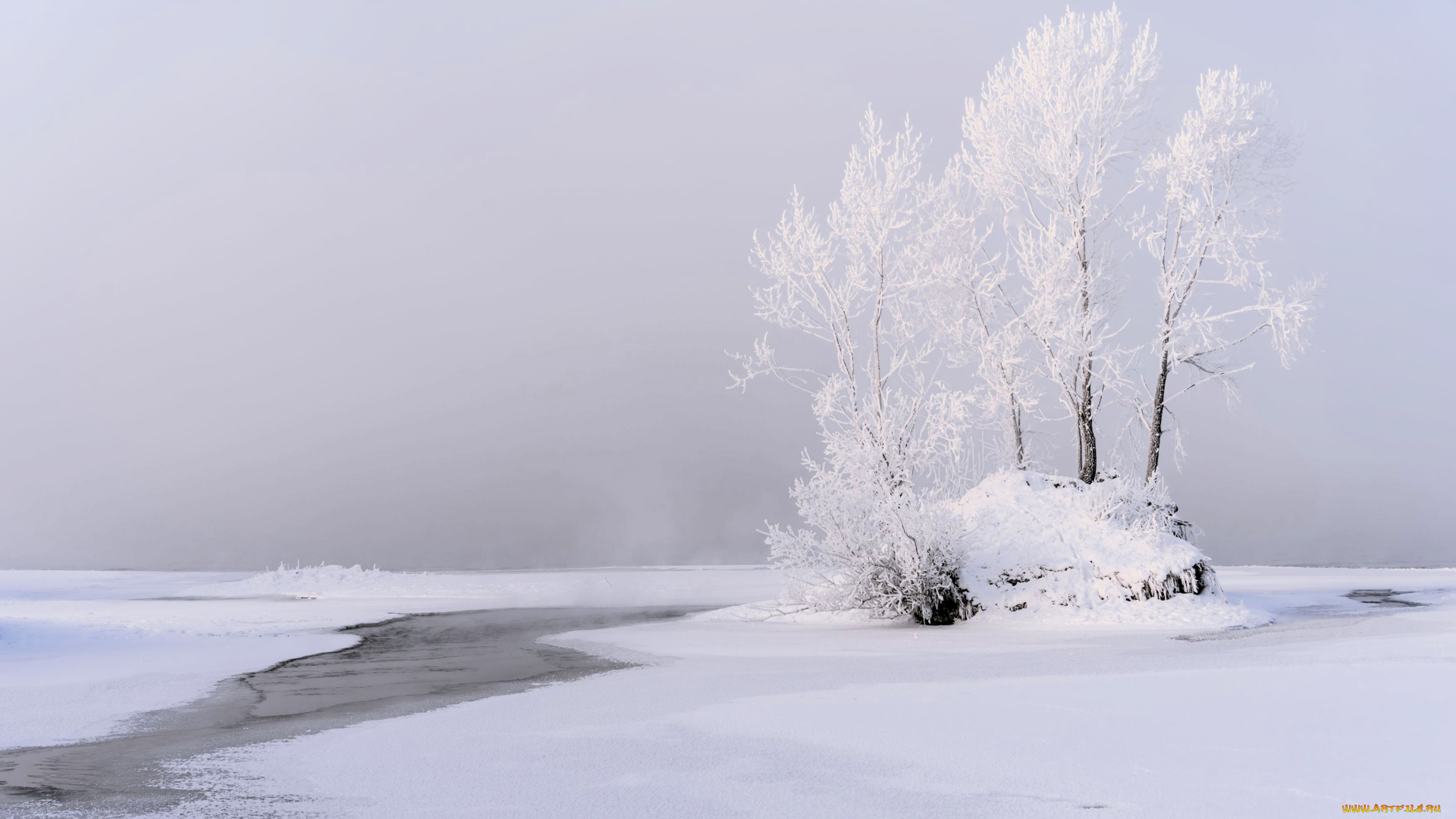 природа, зима, деревья, снег, лед, река