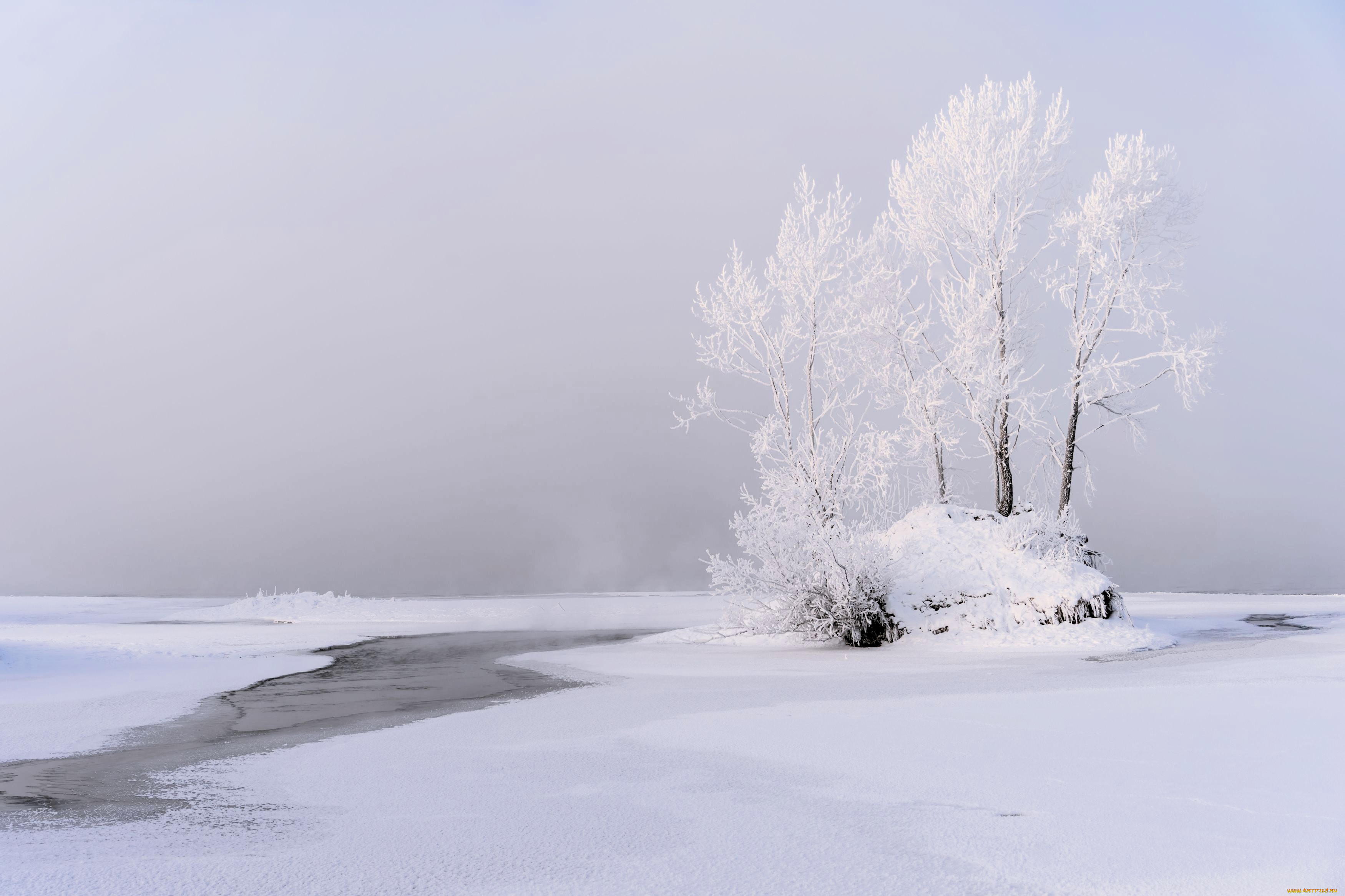 природа, зима, деревья, снег, лед, река