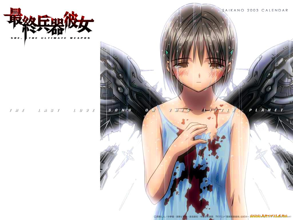 испорченная, жизнь, аниме, saikano