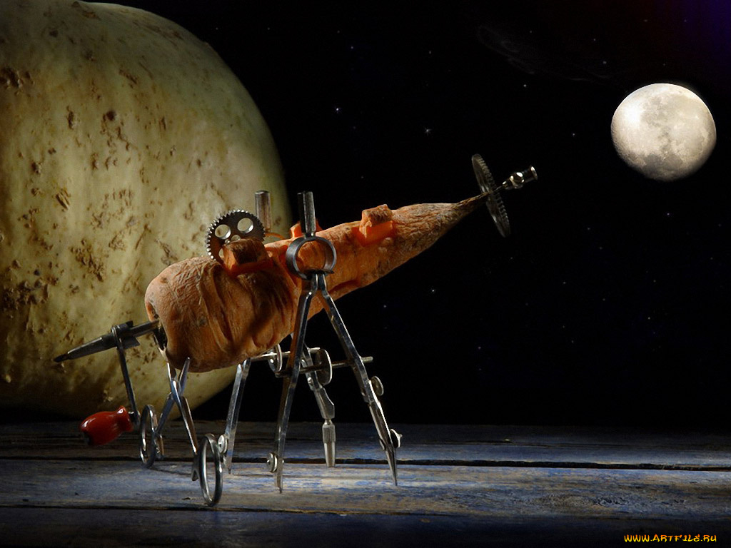 анатолий, кирилов, шаттл, огородный, разное