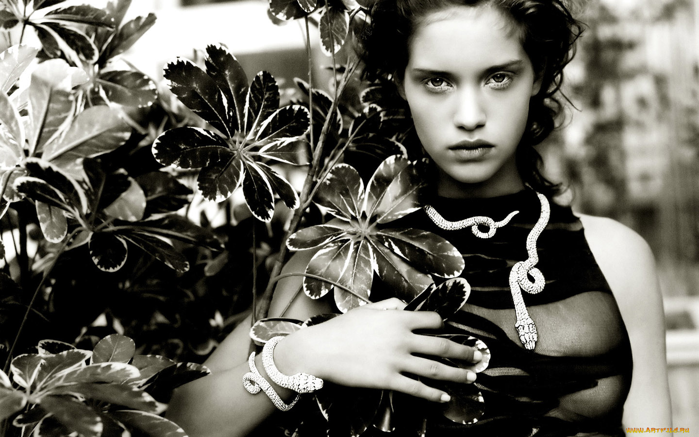 _Unsort, -НЕ, ВЫБИРАТЬ, , , девушки, , не, выбирать