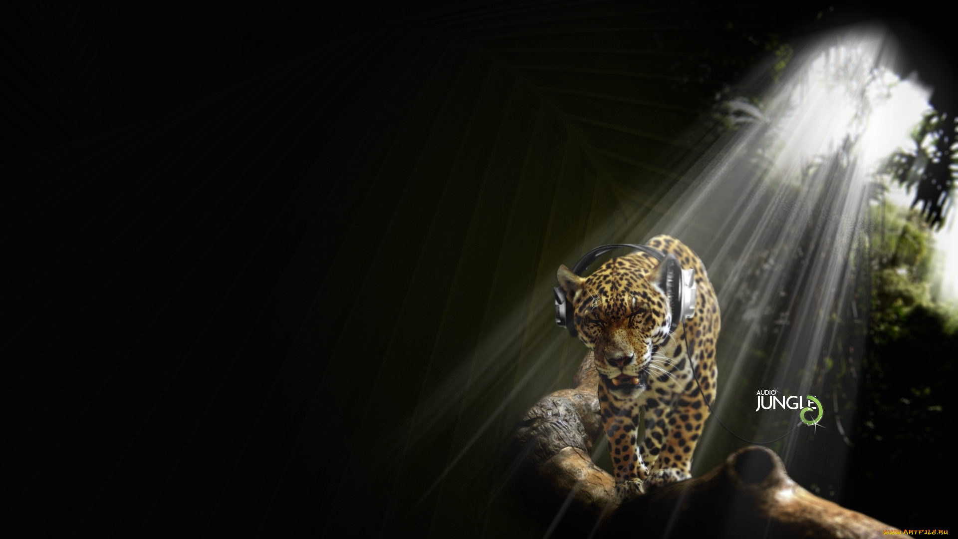 разное, компьютерный, дизайн