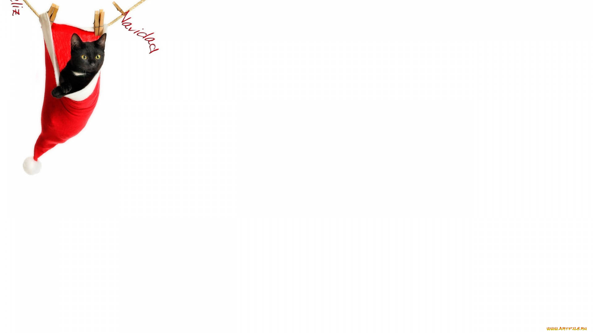 разное, компьютерный, дизайн