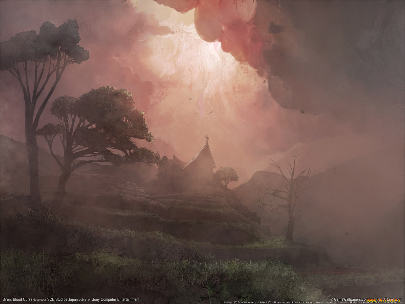 siren, blood, curse, видео, игры