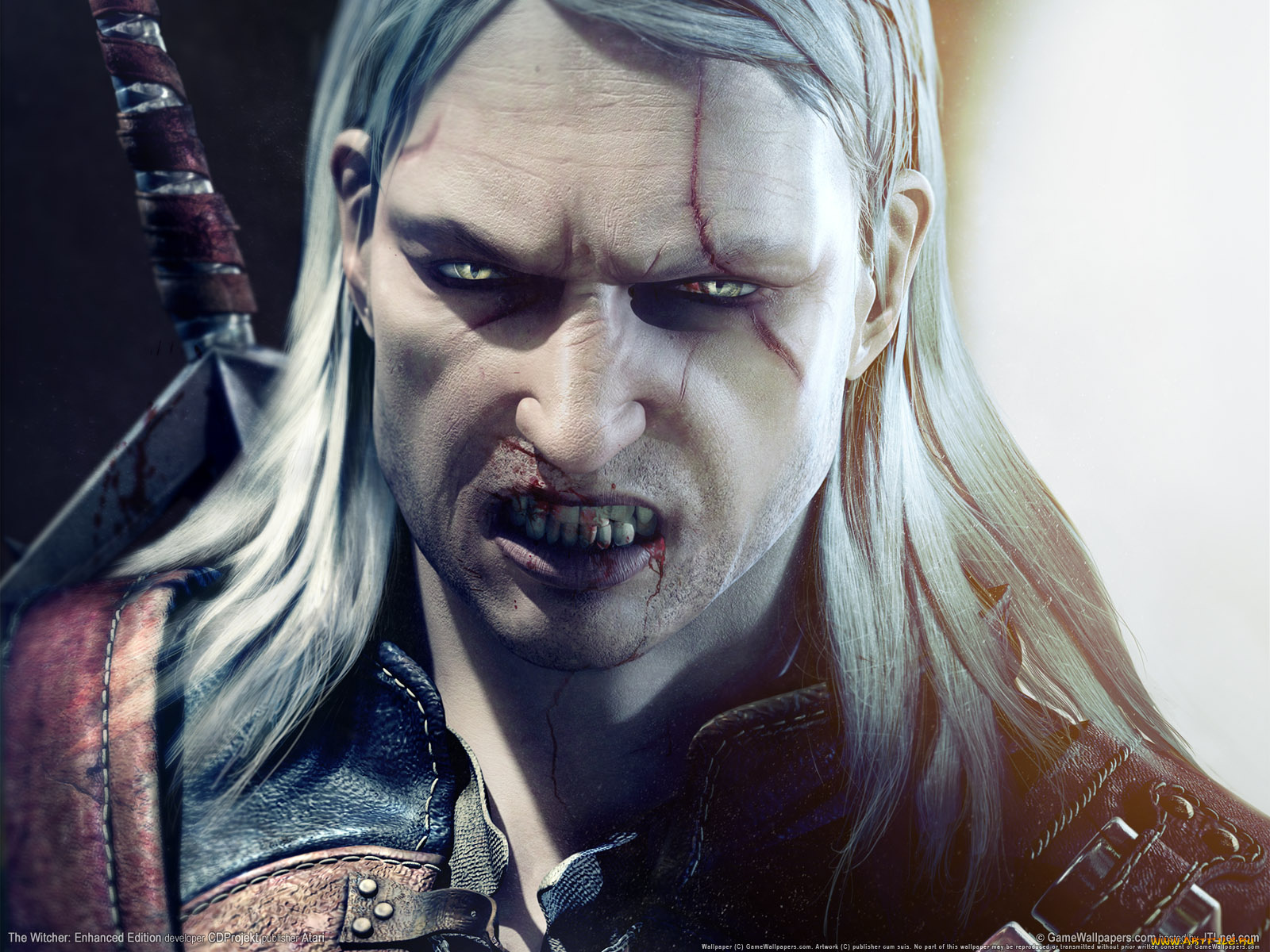 видео, игры, the, witcher