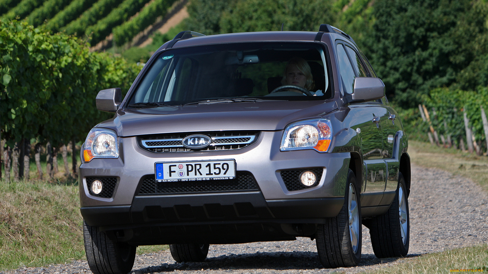 автомобили, kia, sportage