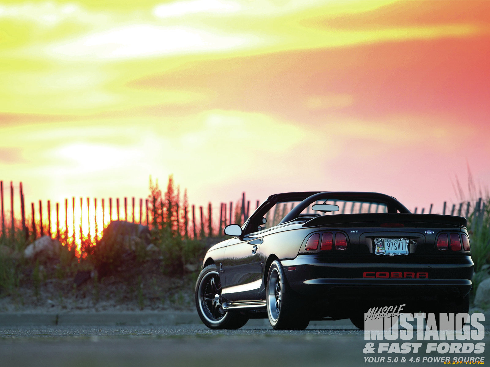 автомобили, mustang, cobra