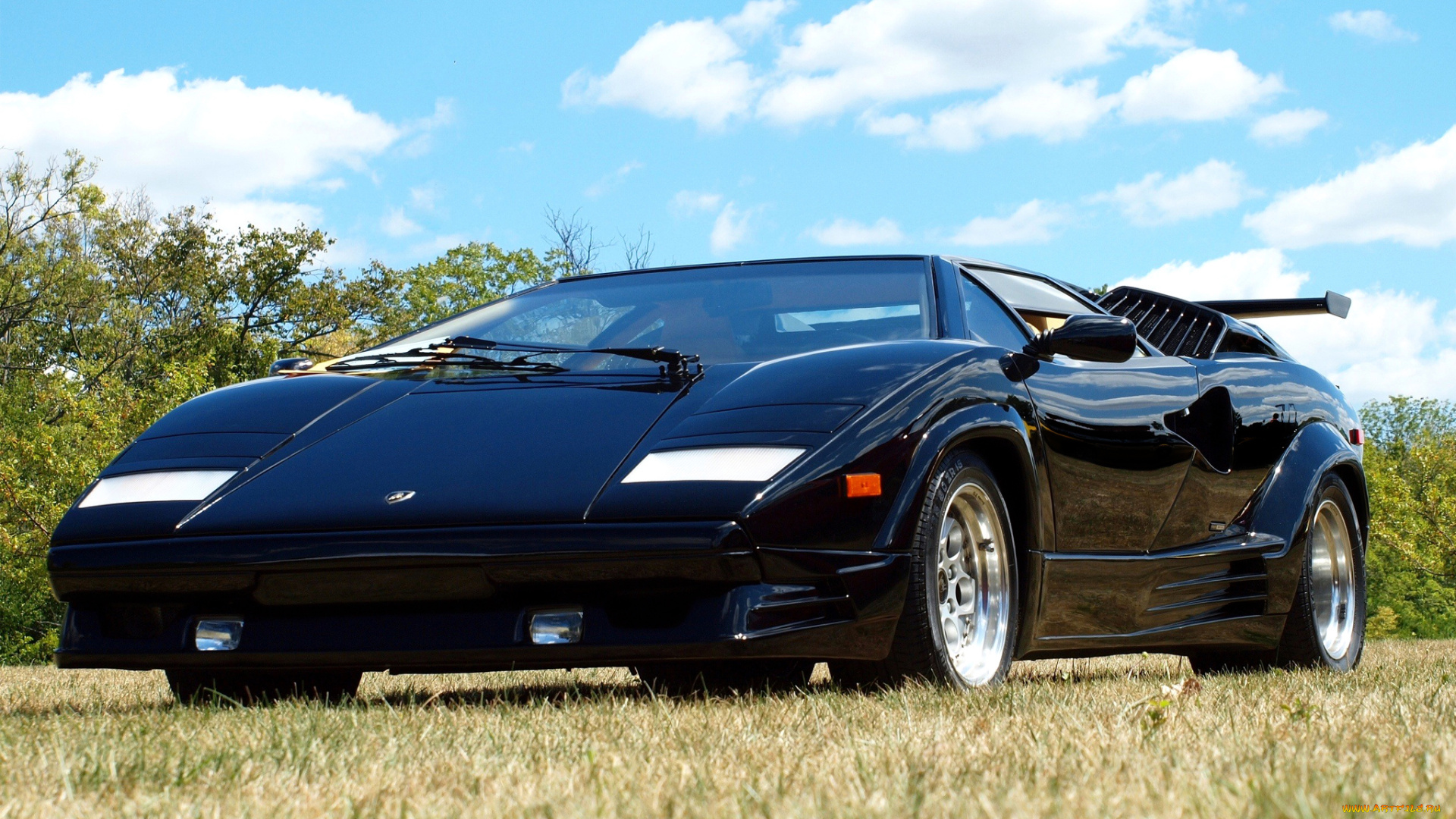 автомобили, lamborghini, anniversary