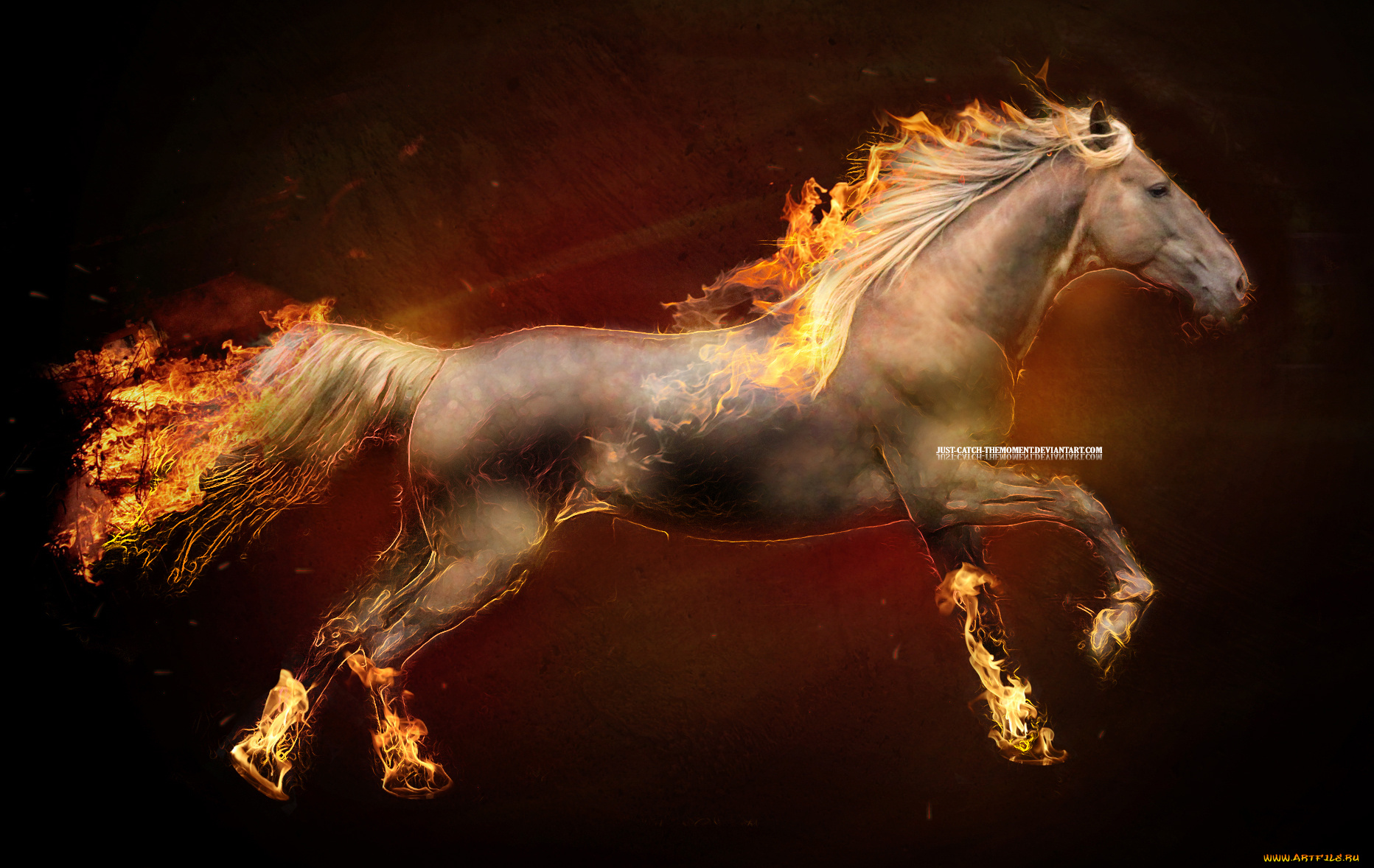 разное, компьютерный, дизайн, лошадь