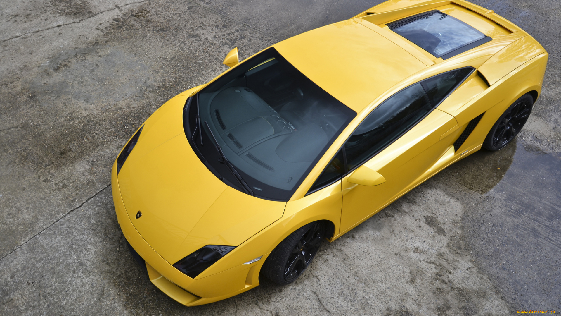 автомобили, lamborghini, gallardo, lp560-4