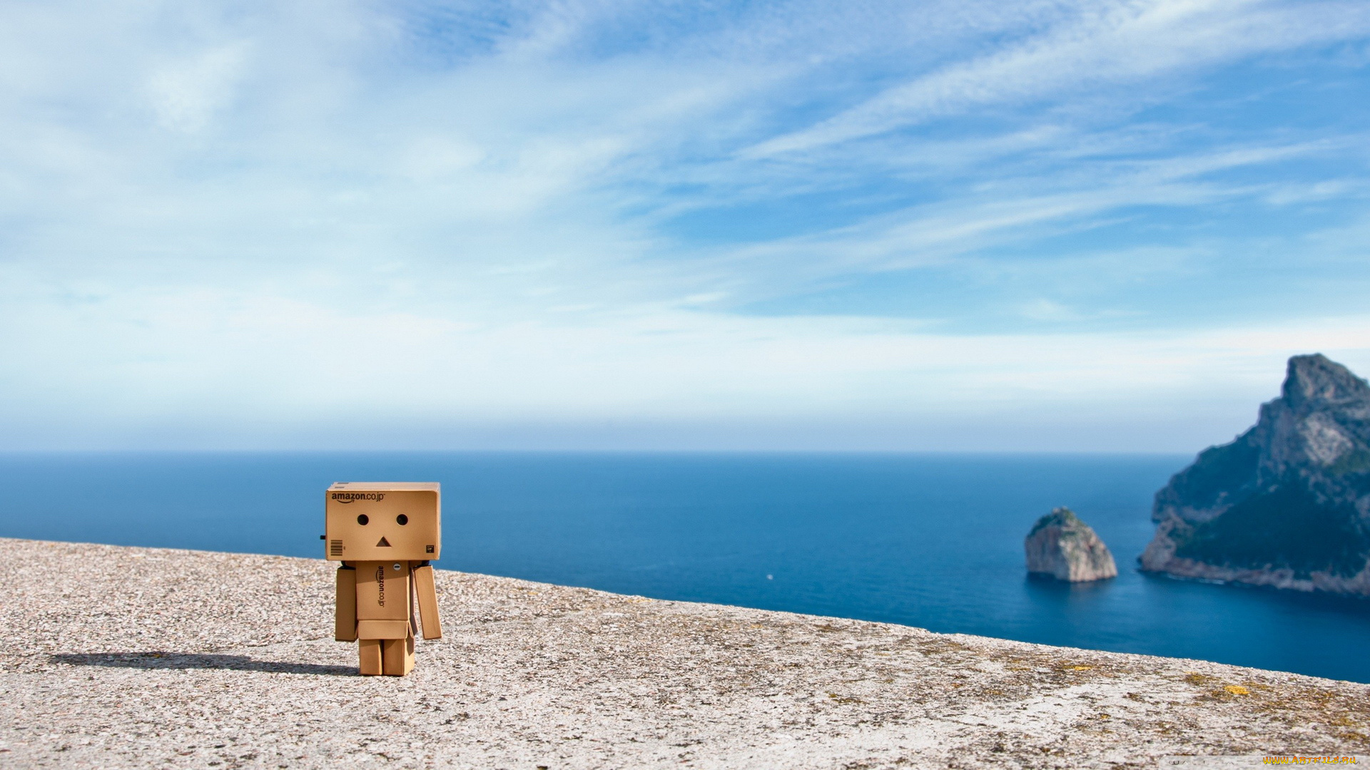 разное, данбо, danboard