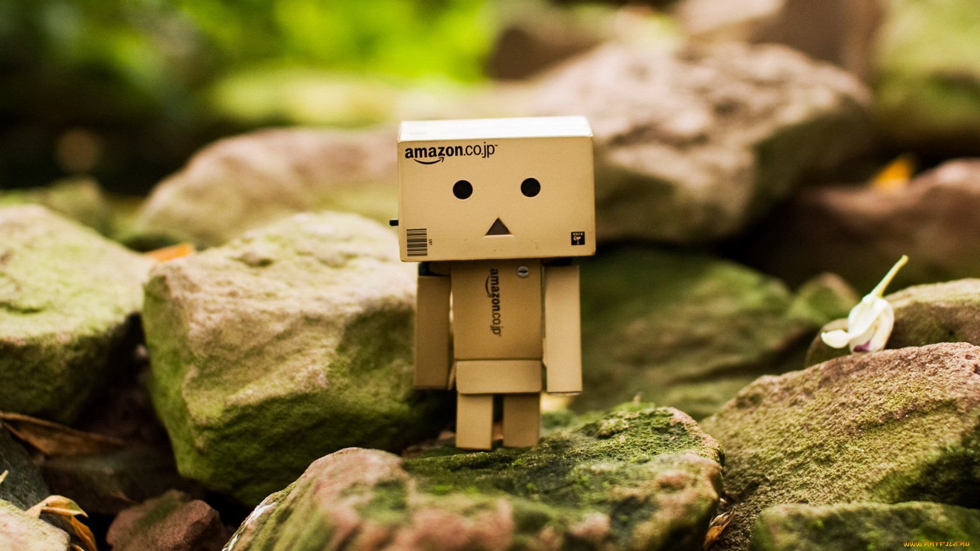 разное, данбо, danboard, человечек, коробочка