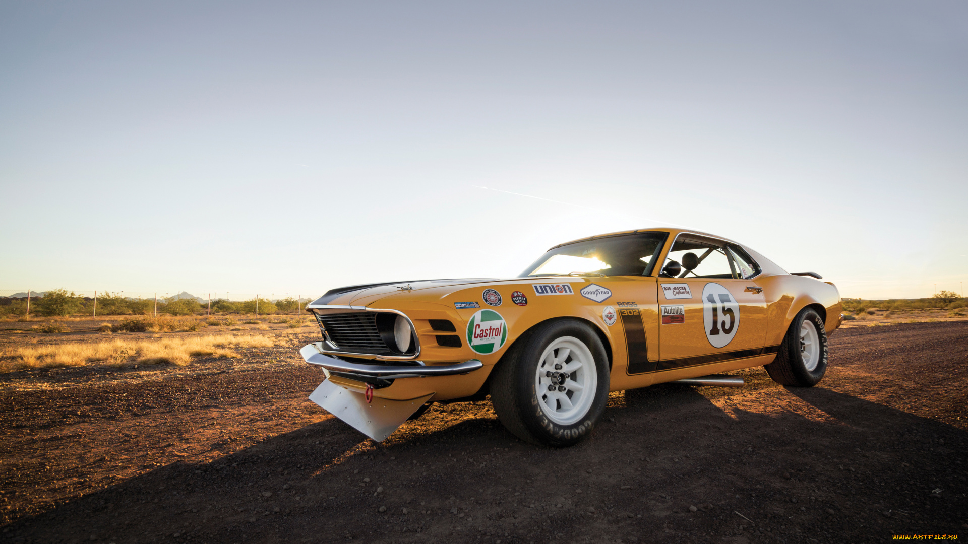 автомобили, mustang