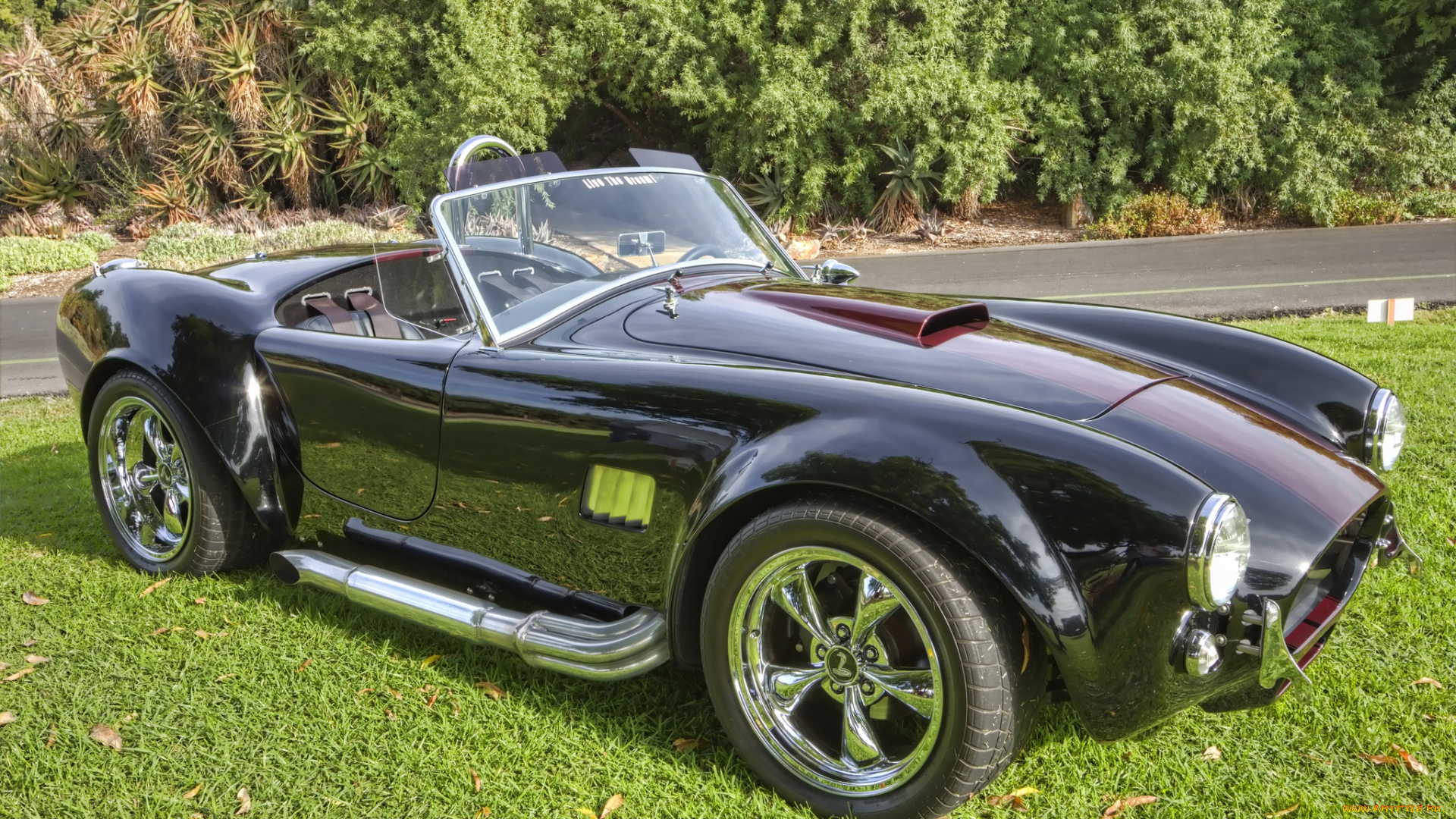 автомобили, выставки, и, уличные, фото, автошоу, выставка