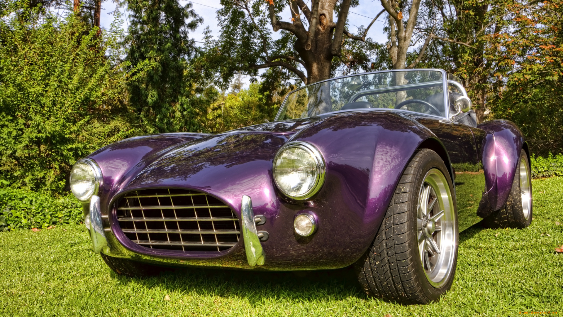 cobra, автомобили, выставки, и, уличные, фото, выставка, автошоу