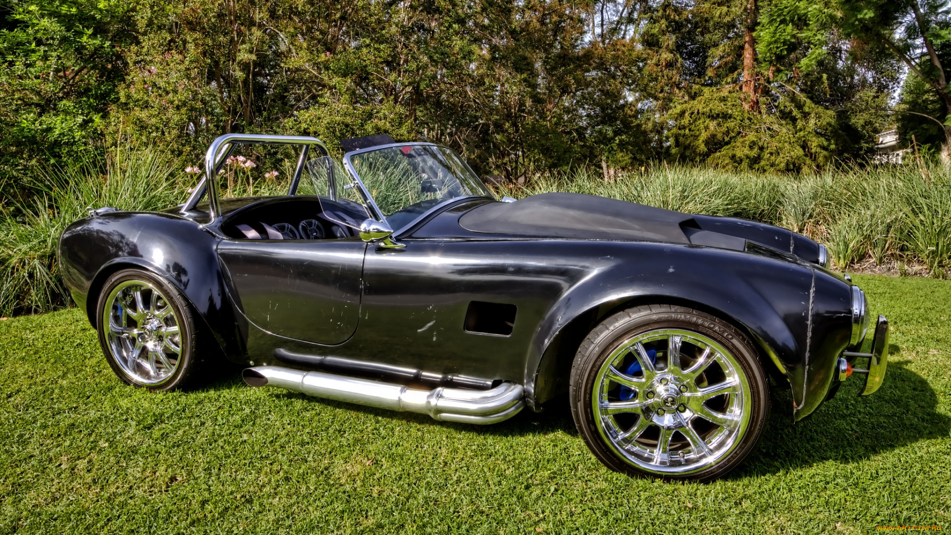 cobra, автомобили, выставки, и, уличные, фото, автошоу, выставка